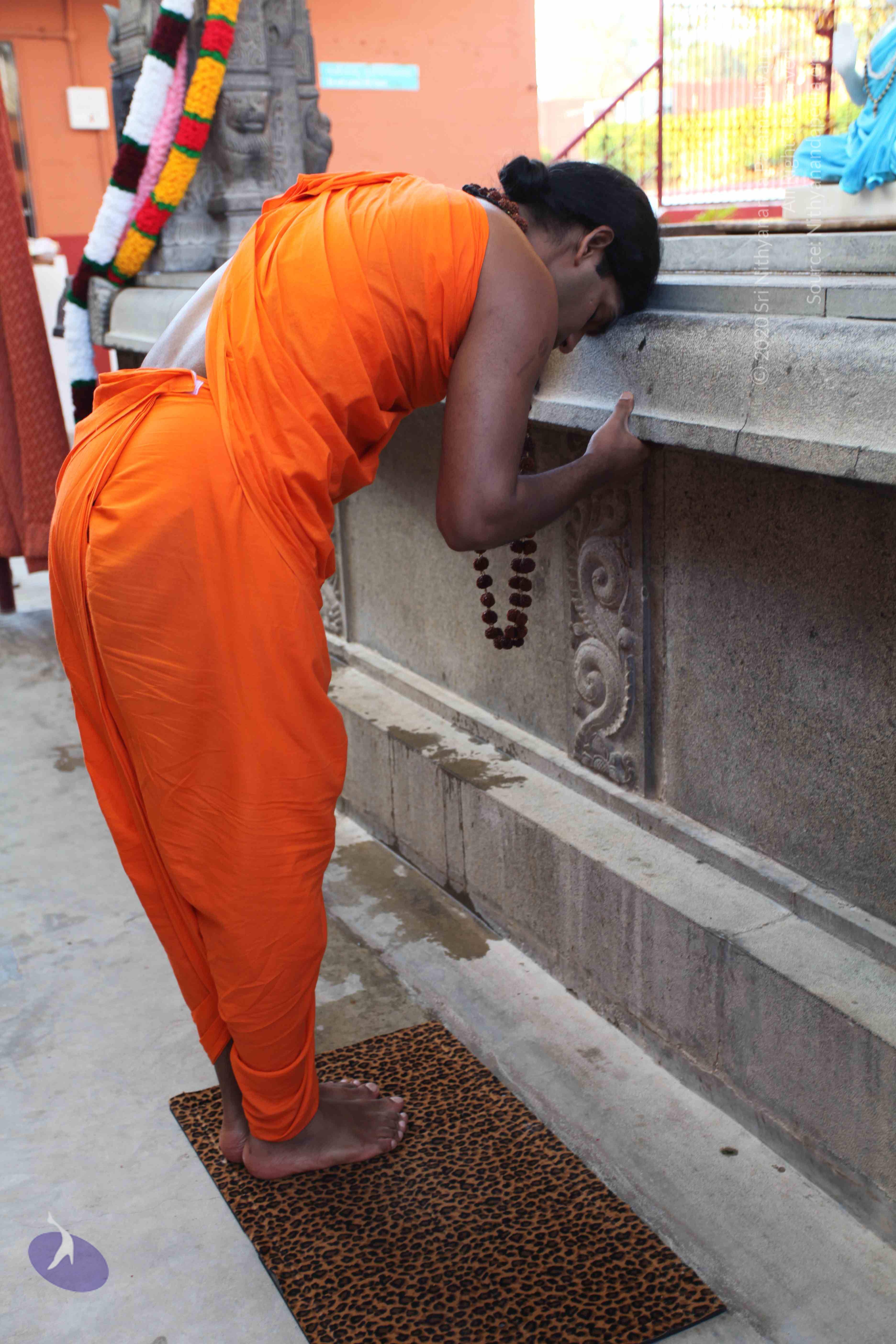 20110201_Photo_1008_IMG_2363_CMP_WM