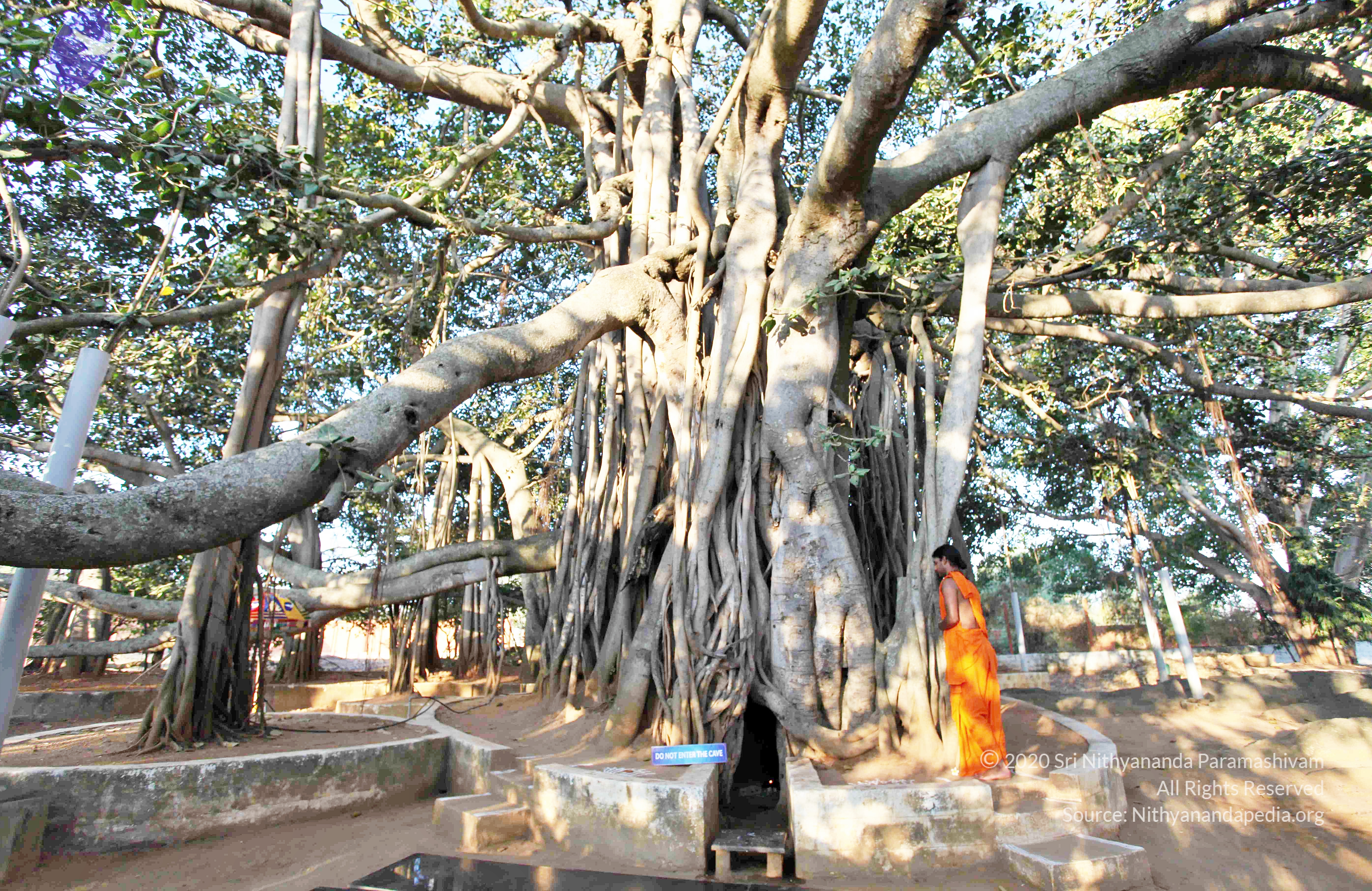 20110201_Photo_1009_IMG_2348_CMP_WM