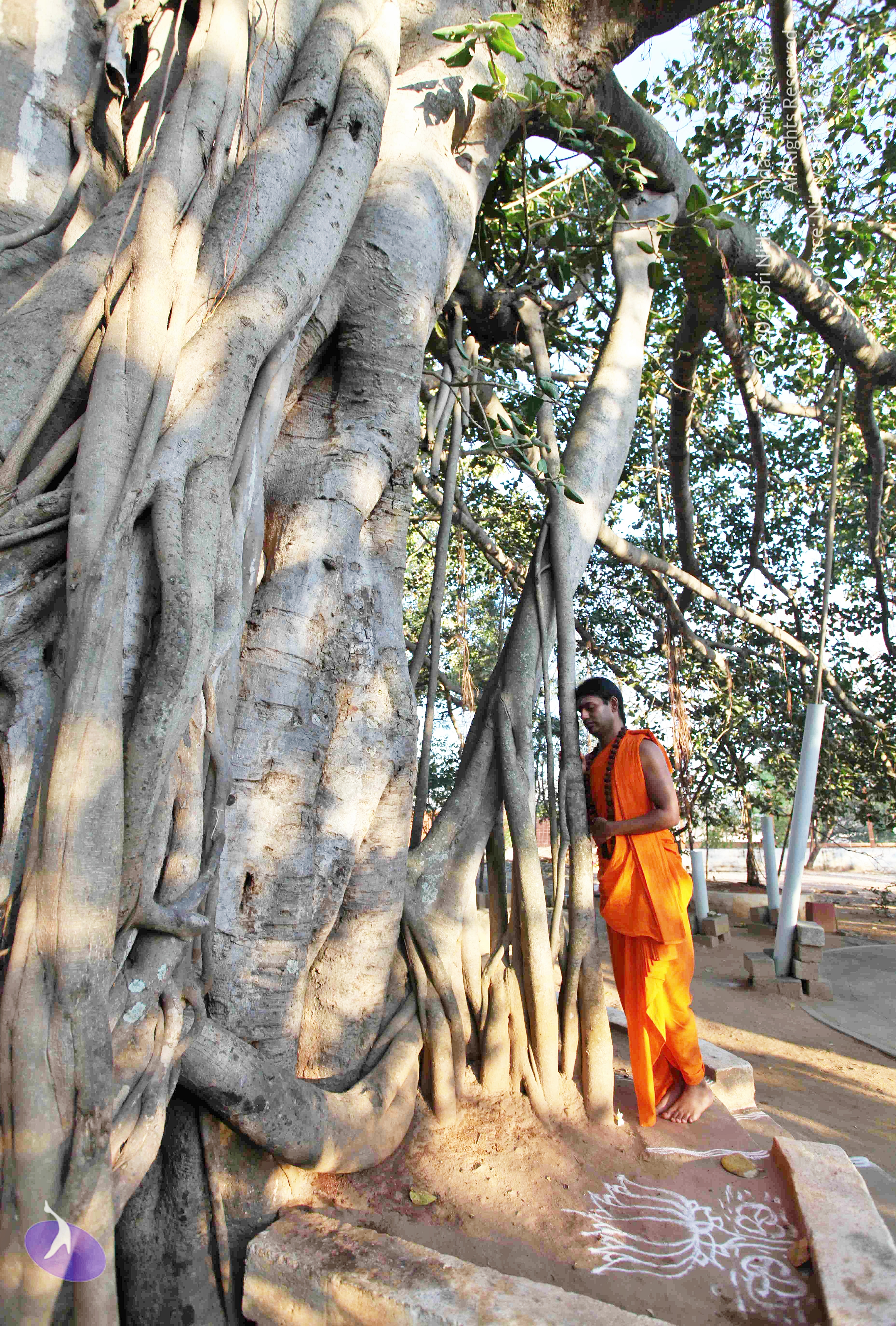 20110201_Photo_1013_IMG_2342_CMP_WM