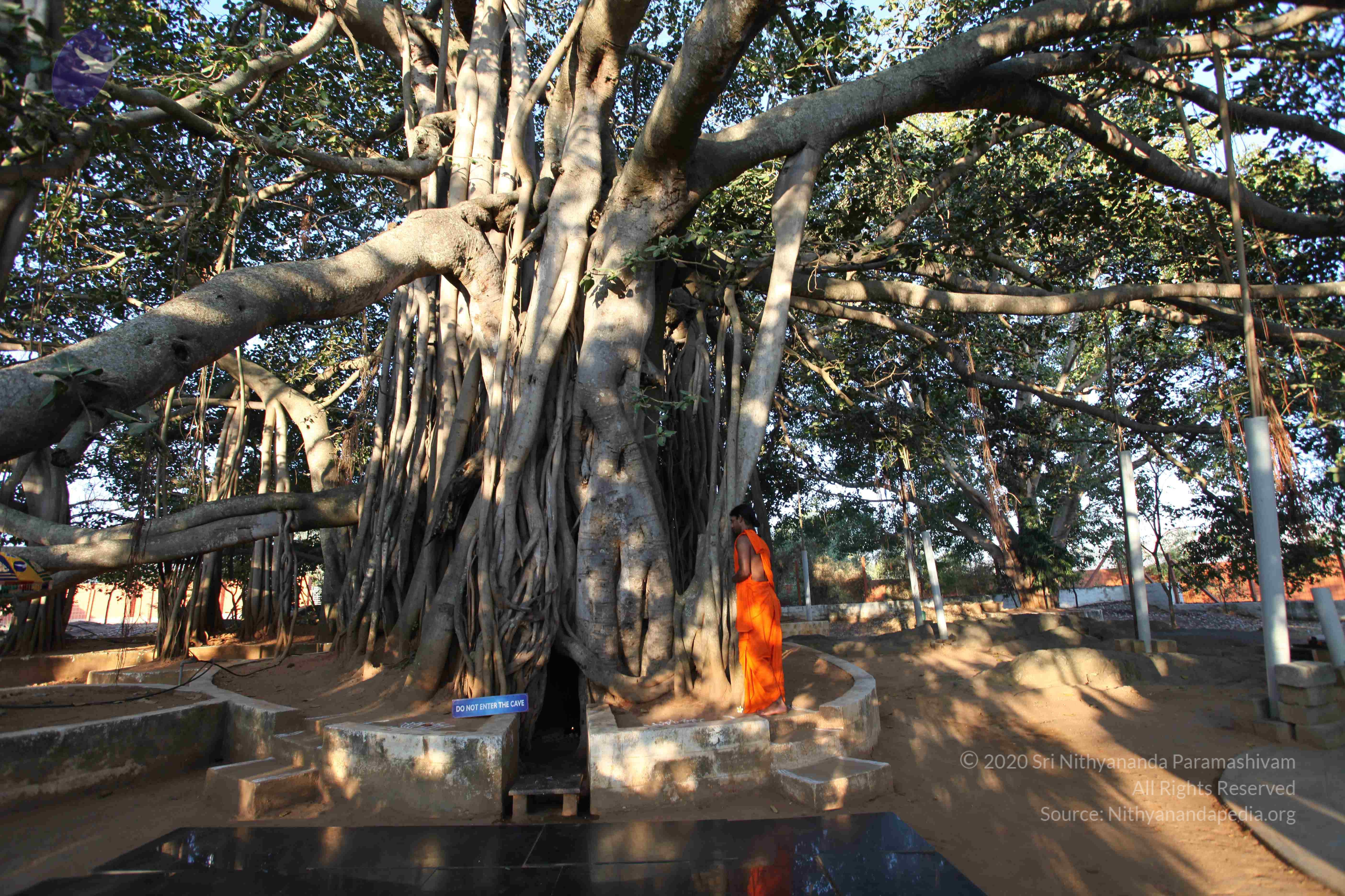 20110201_Photo_1014_IMG_2347_CMP_WM