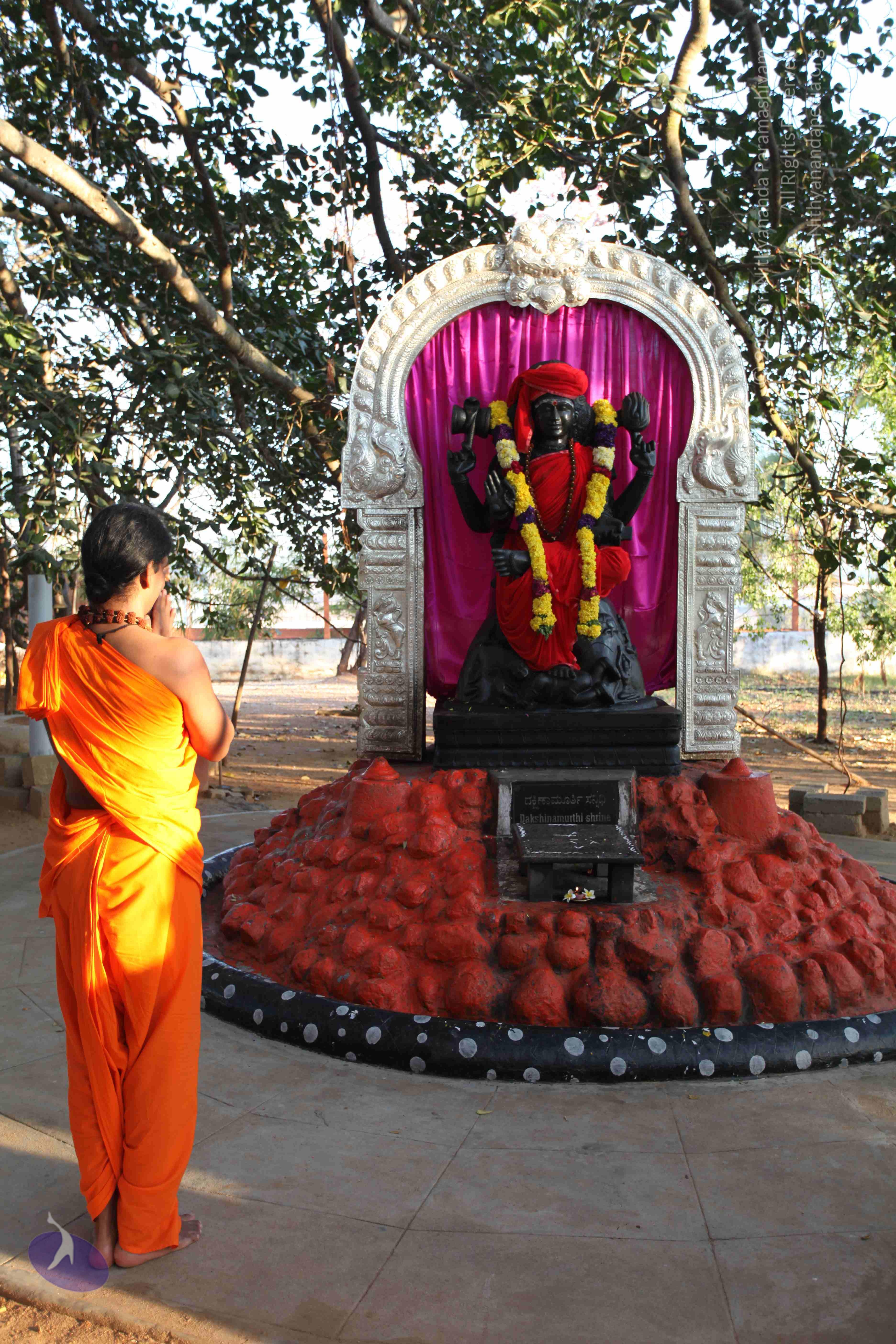 20110201_Photo_1015_IMG_2339_CMP_WM