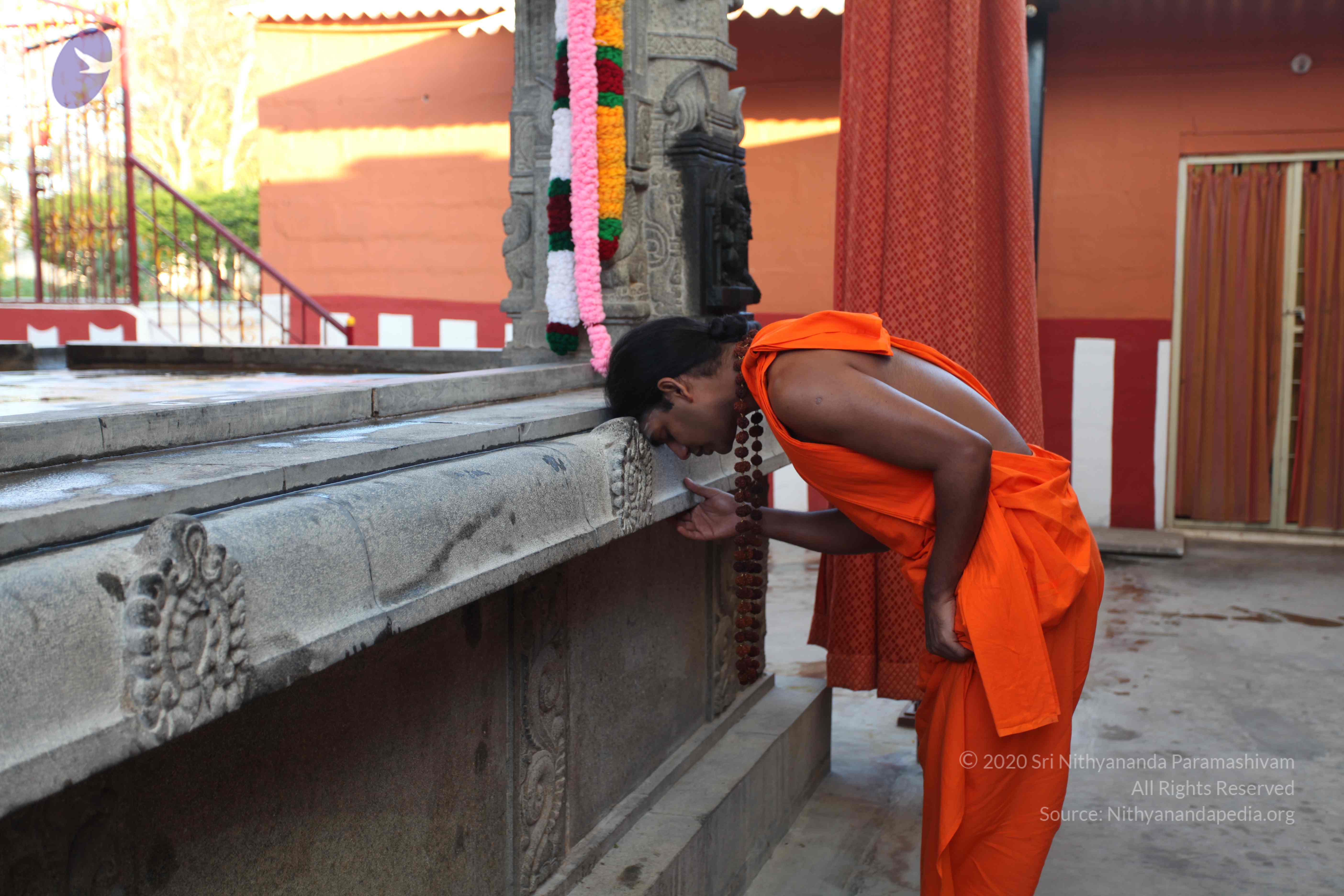 20110201_Photo_1026_IMG_2332_CMP_WM