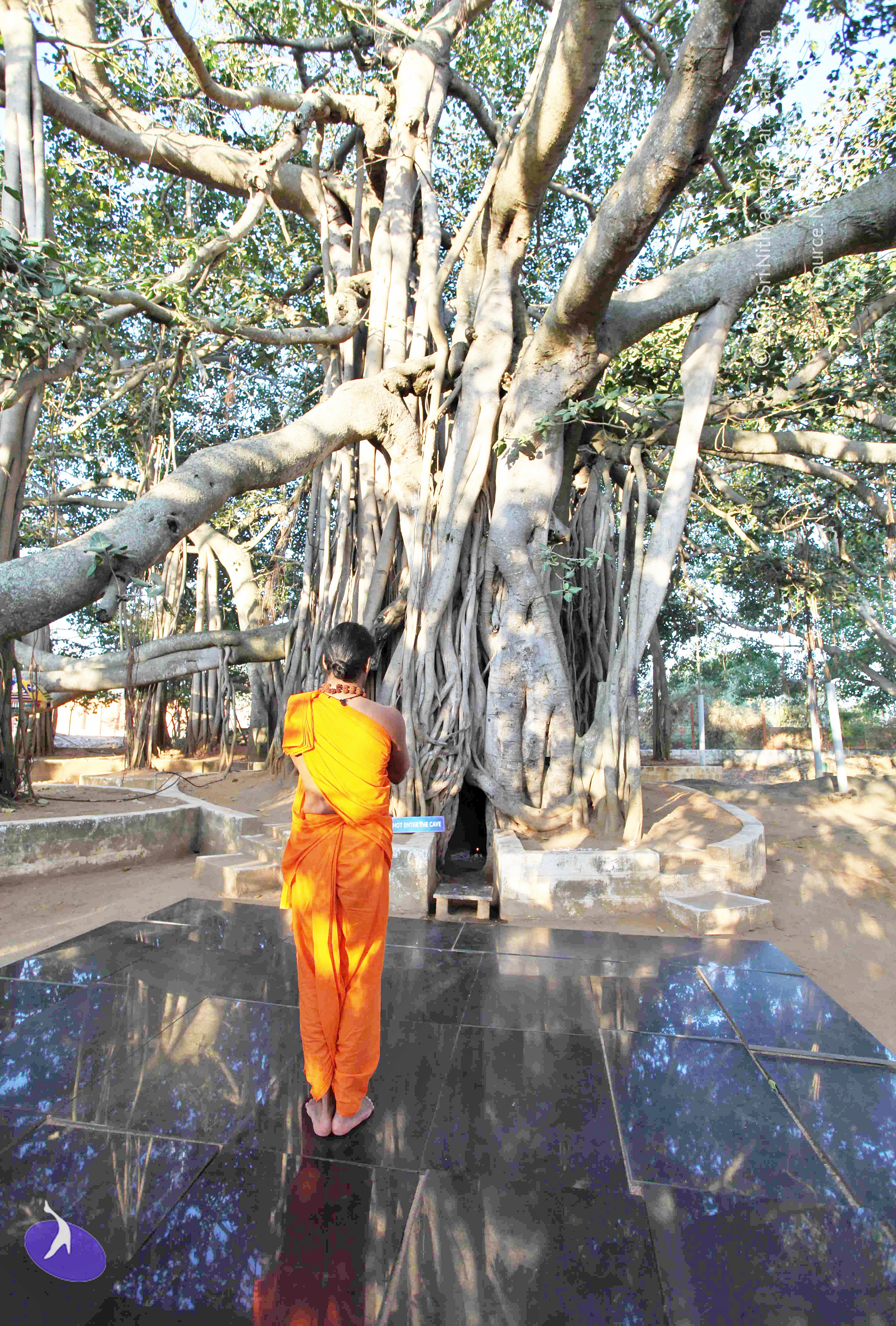 20110201_Photo_1027_IMG_2350_CMP_WM