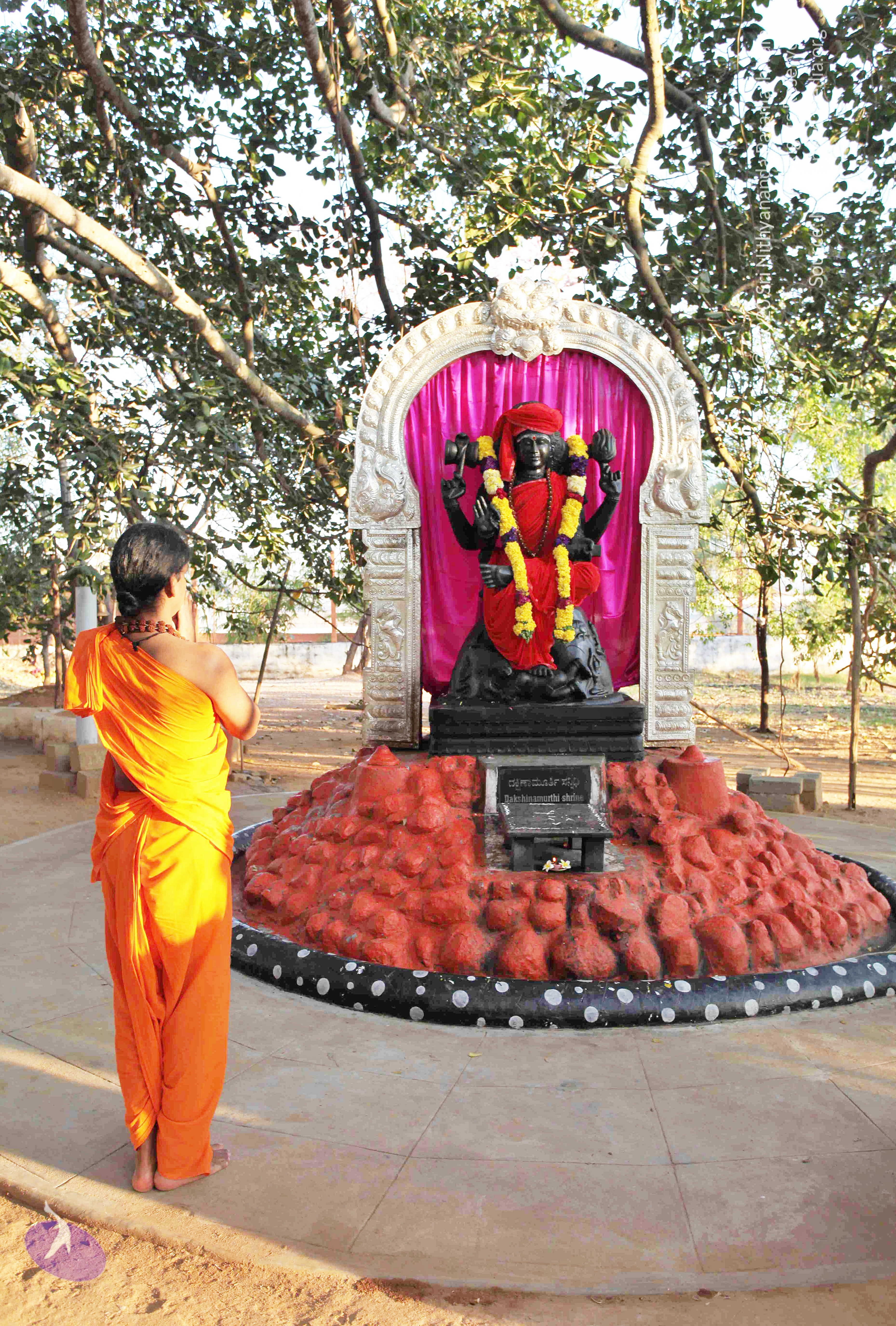 20110201_Photo_1032_IMG_2335_CMP_WM