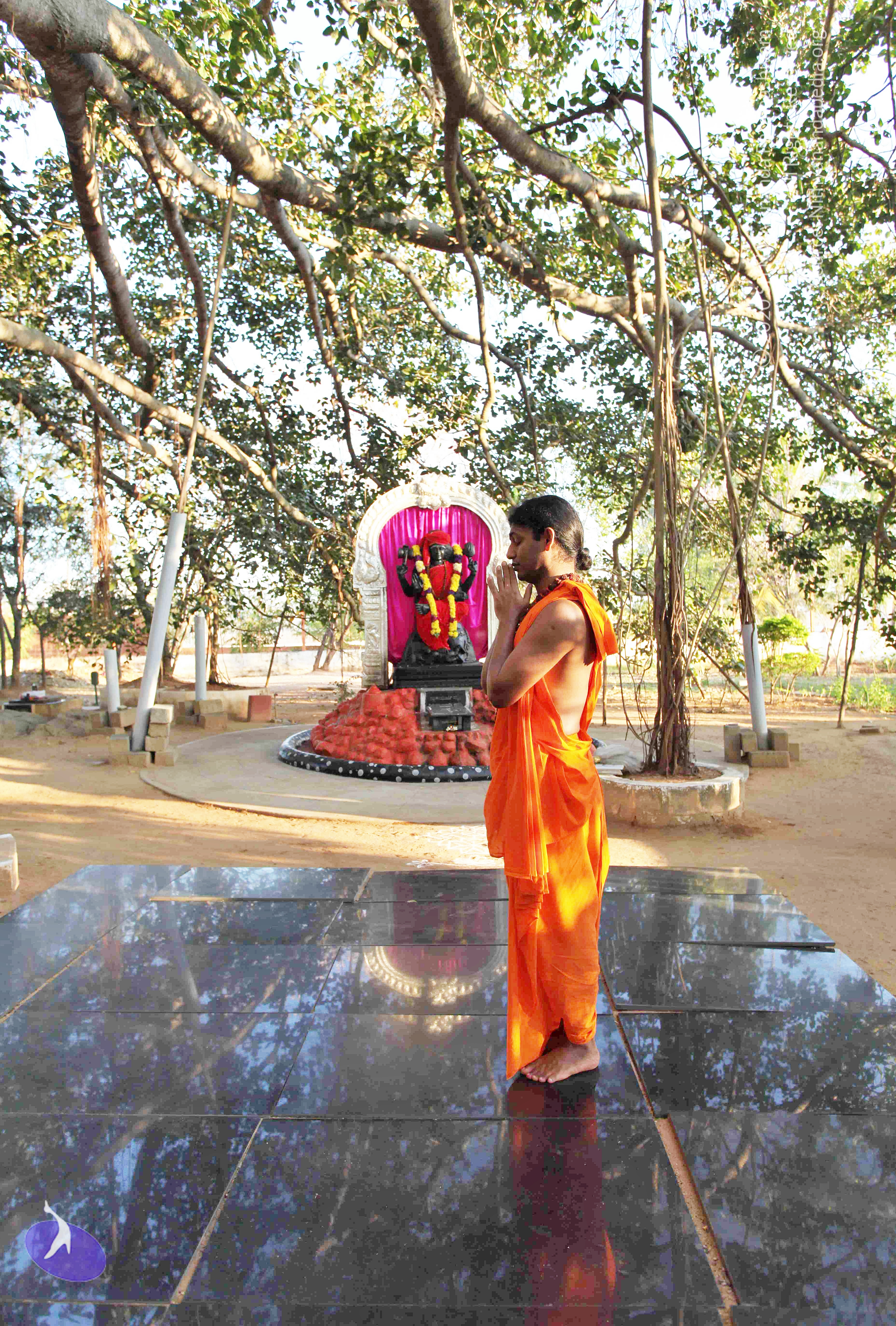 20110201_Photo_1034_IMG_2357_CMP_WM