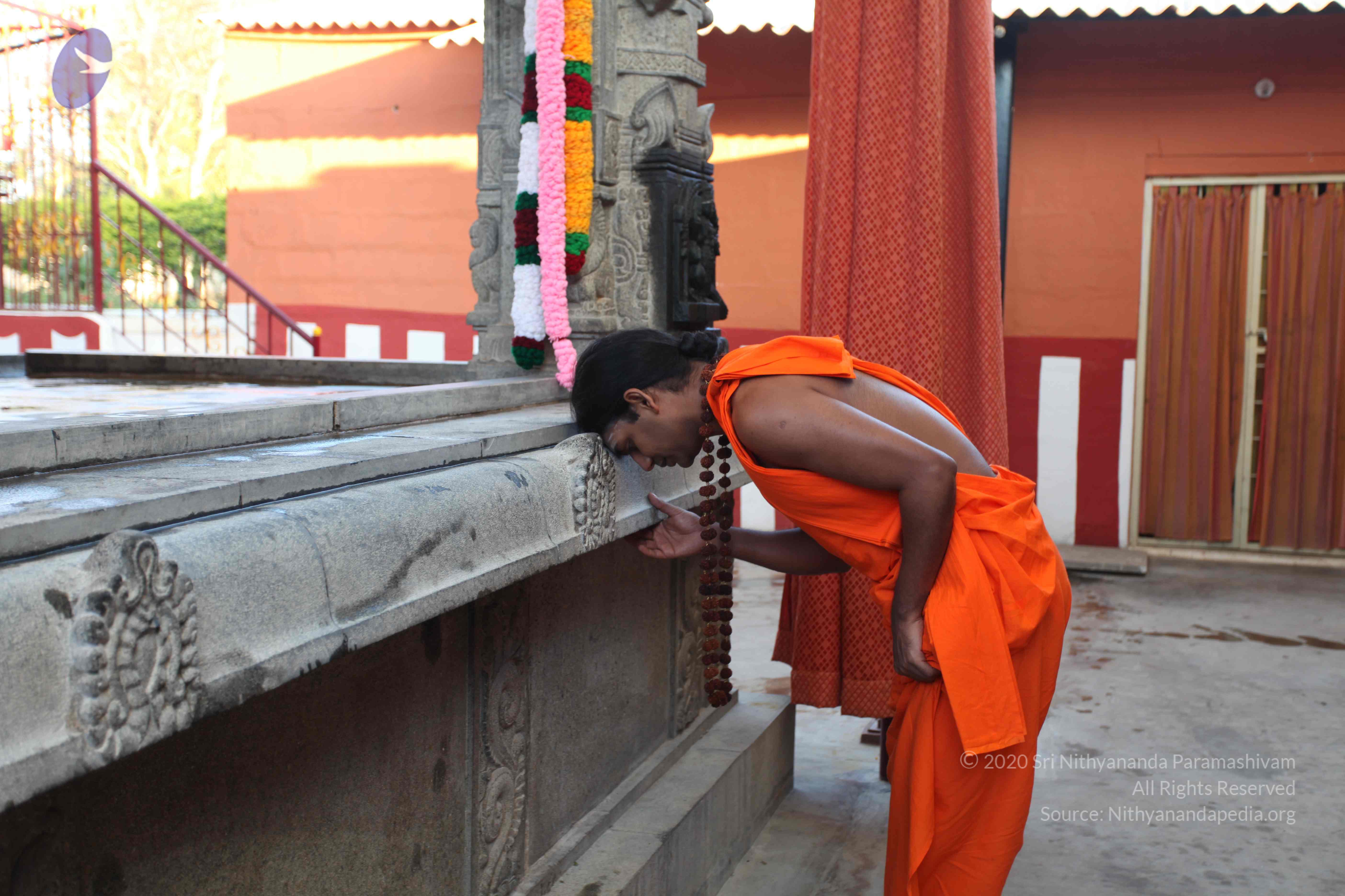 20110201_Photo_1035_IMG_2330_CMP_WM