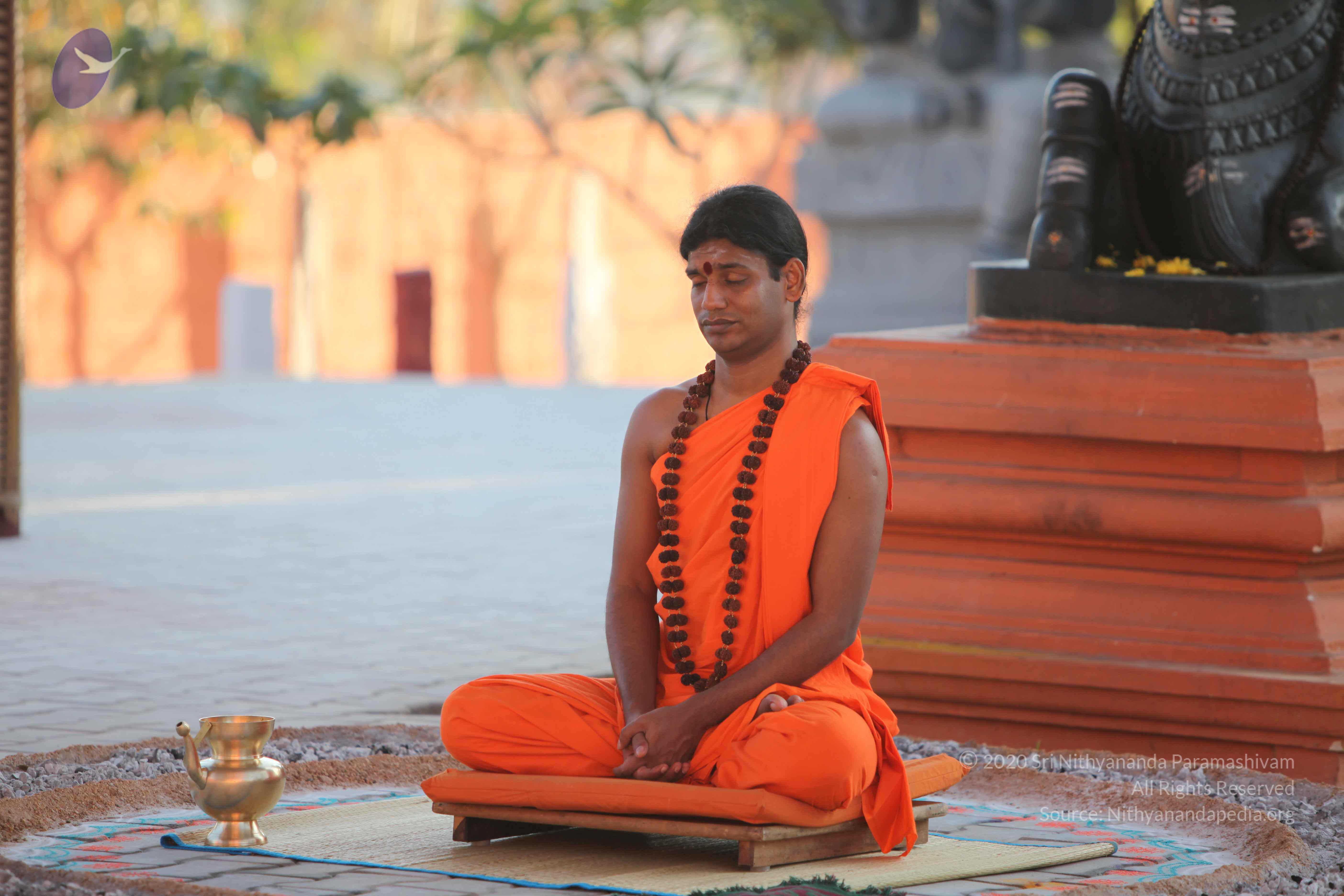 20110201_Photo_1002_IMG_2545_CMP_WM