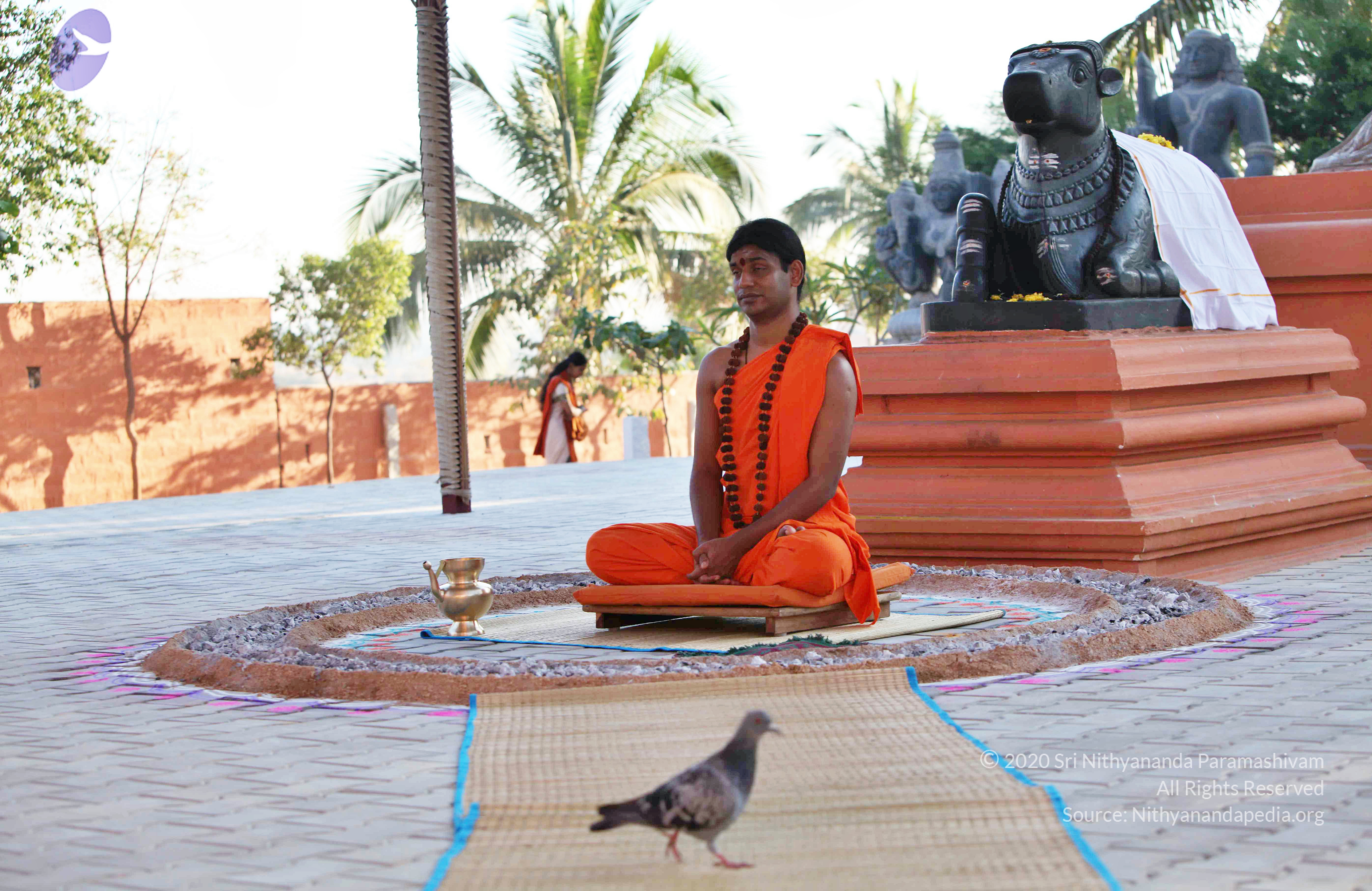 20110201_Photo_1005_IMG_2510_CMP_WM