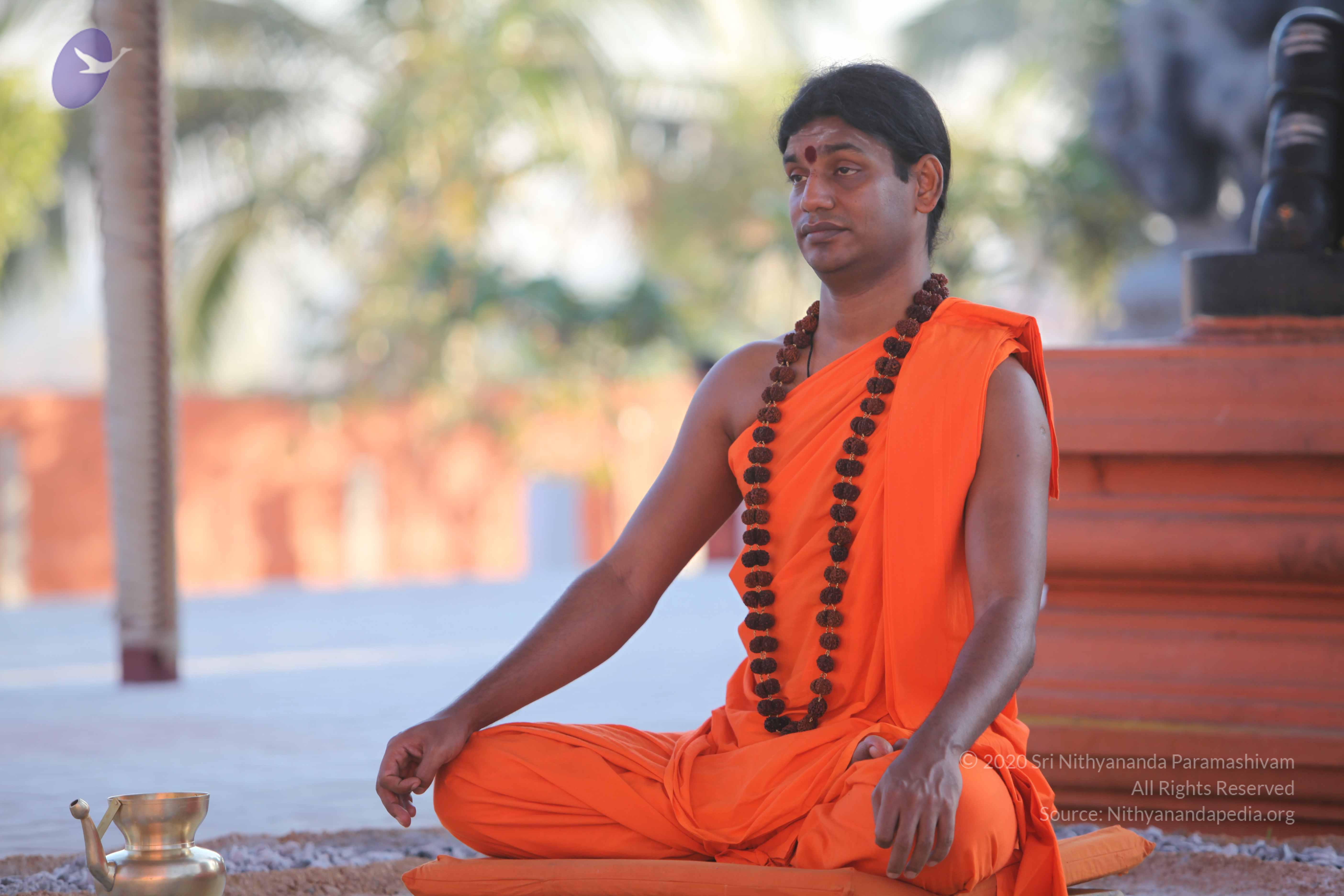 20110201_Photo_1006_IMG_2527_CMP_WM