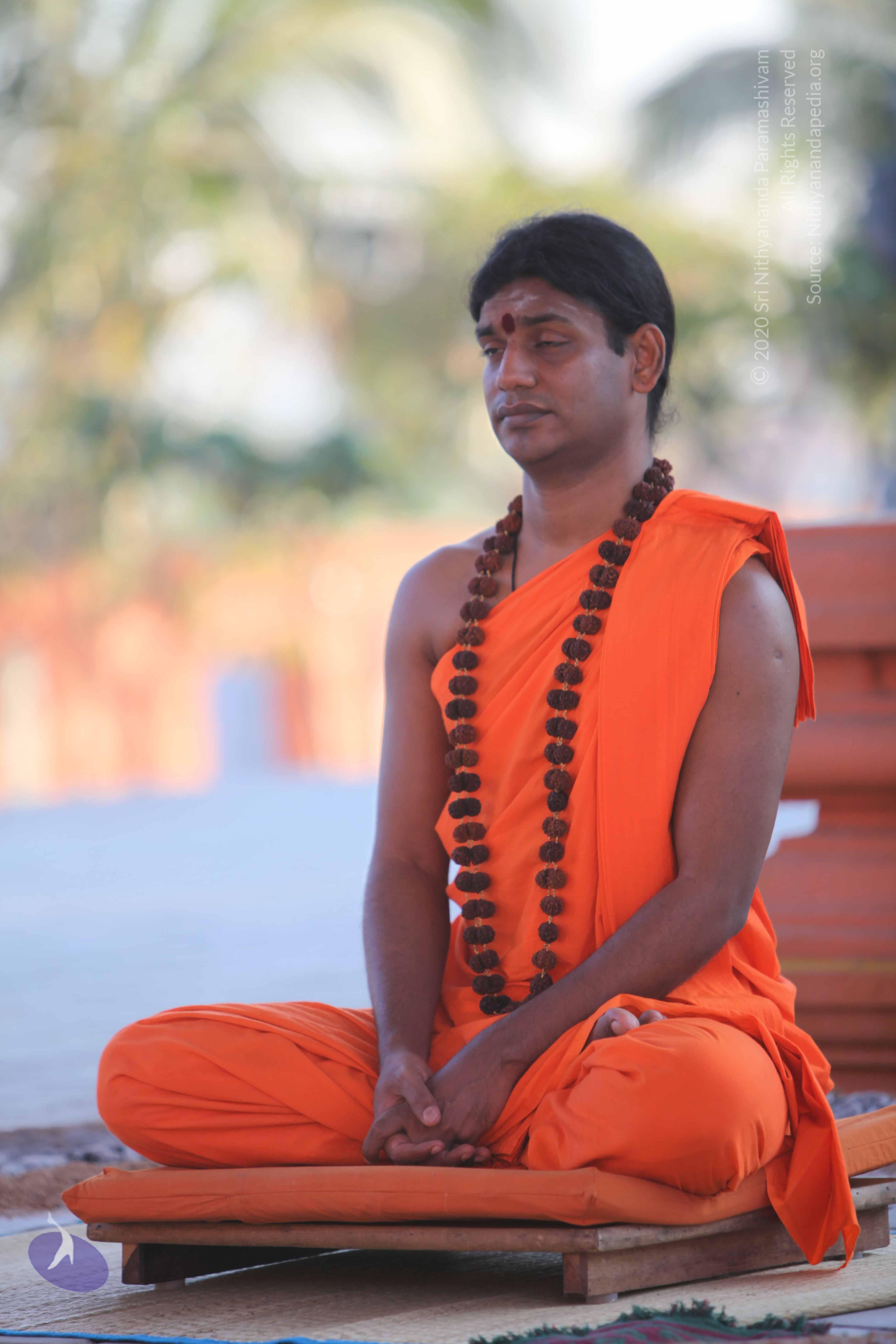 20110201_Photo_1008_IMG_2499_CMP_WM