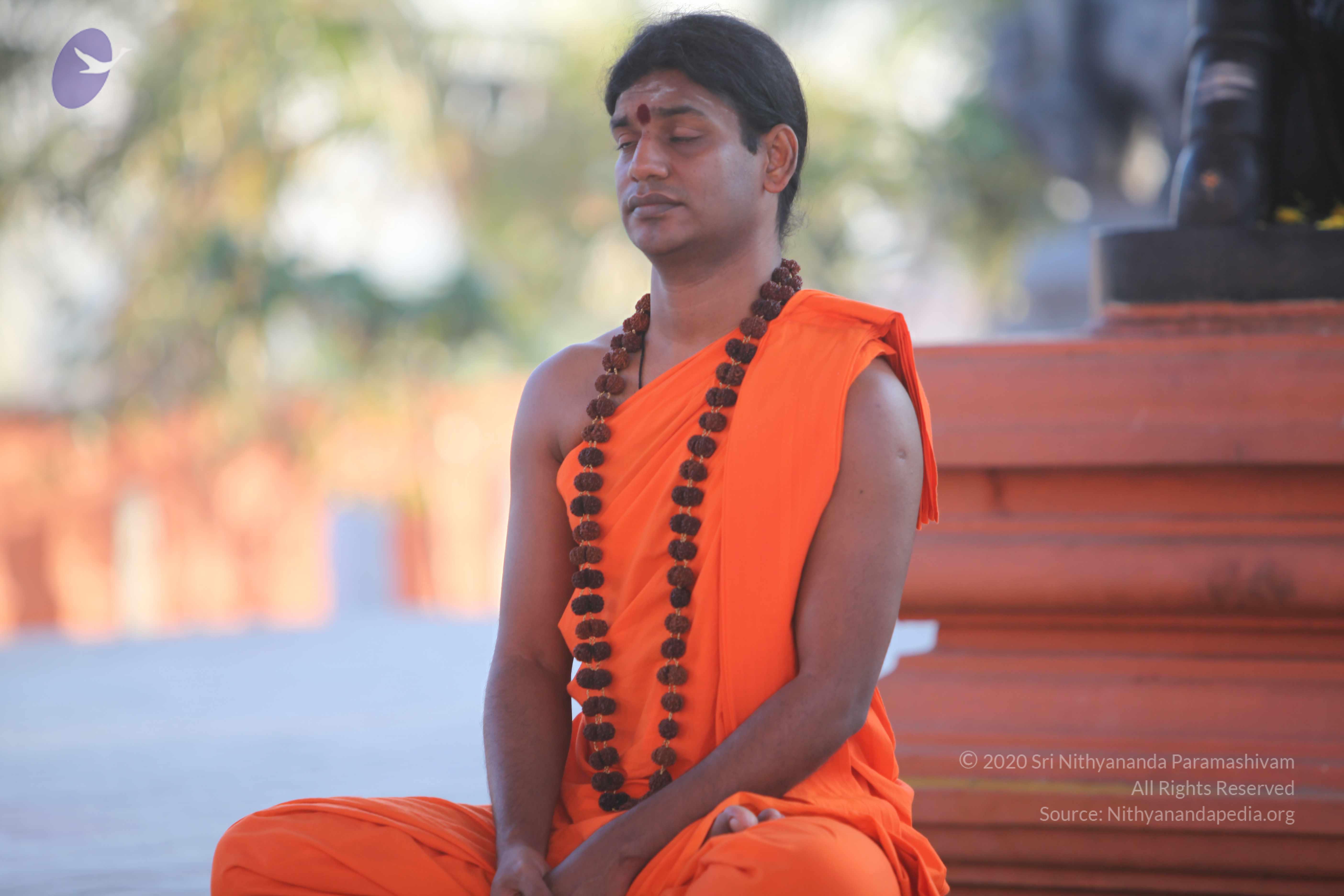 20110201_Photo_1013_IMG_2494_CMP_WM