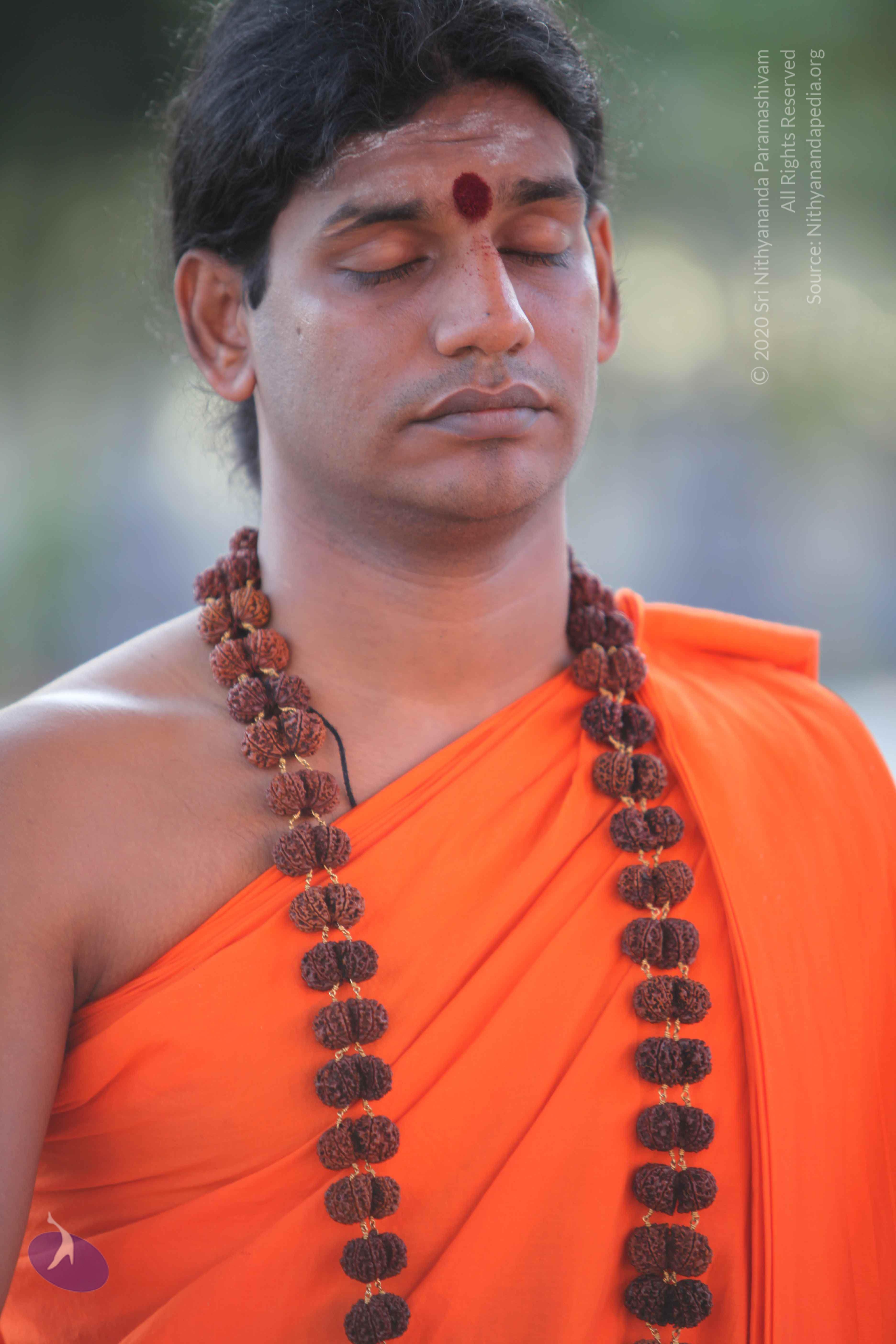 20110201_Photo_1015_IMG_2409_CMP_WM