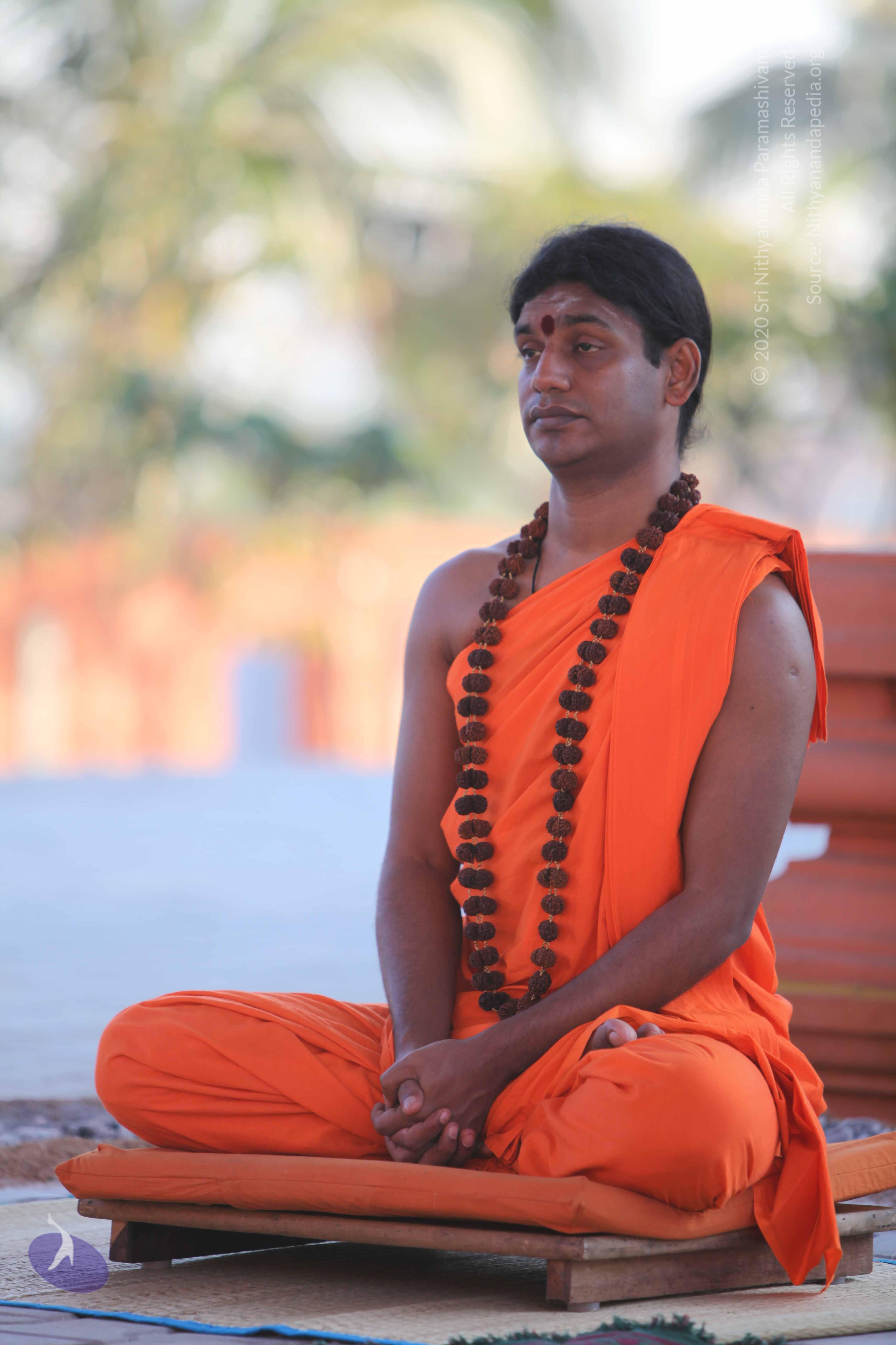 20110201_Photo_1017_IMG_2488_CMP_WM