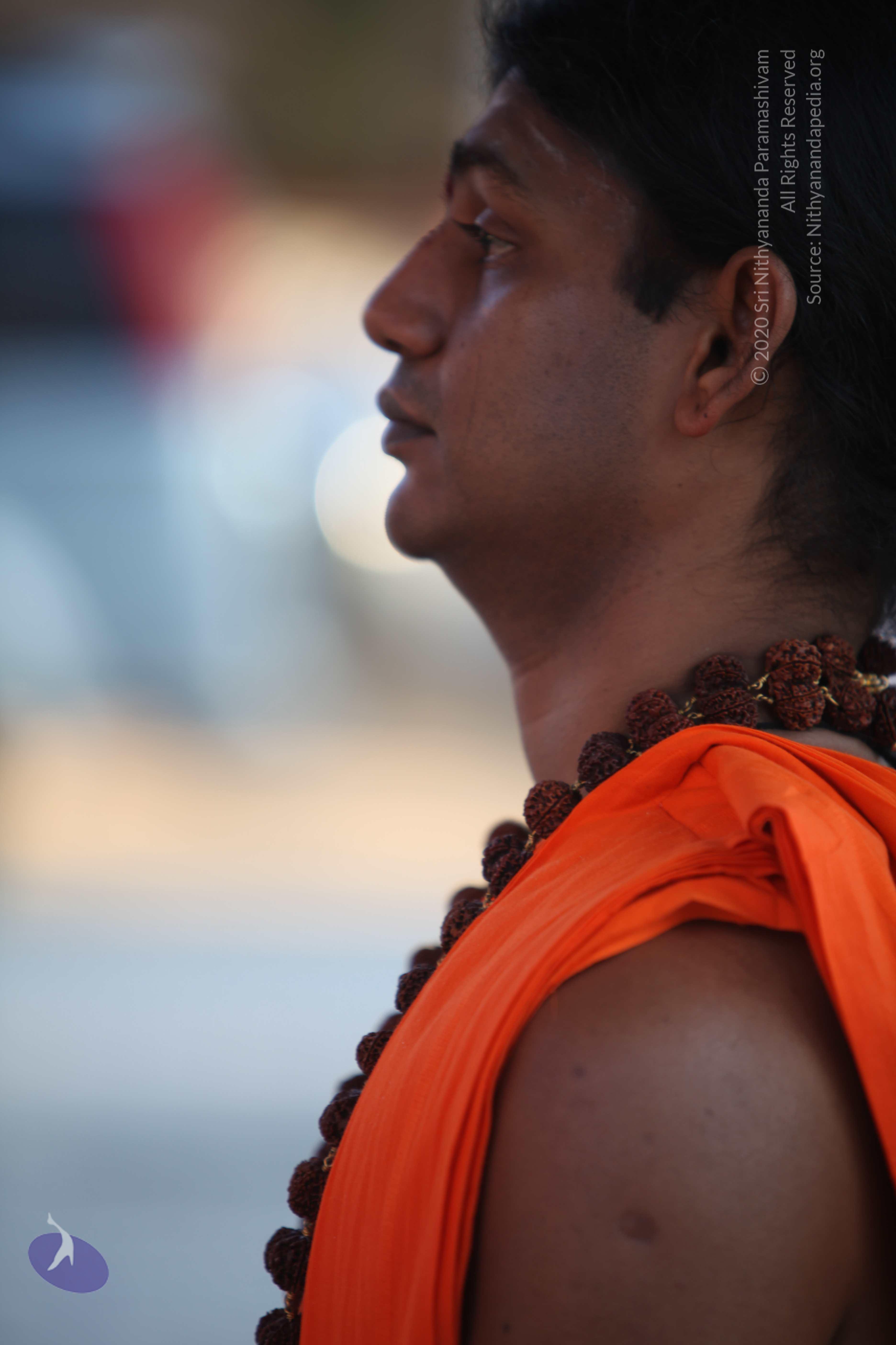 20110201_Photo_1021_IMG_2422_CMP_WM