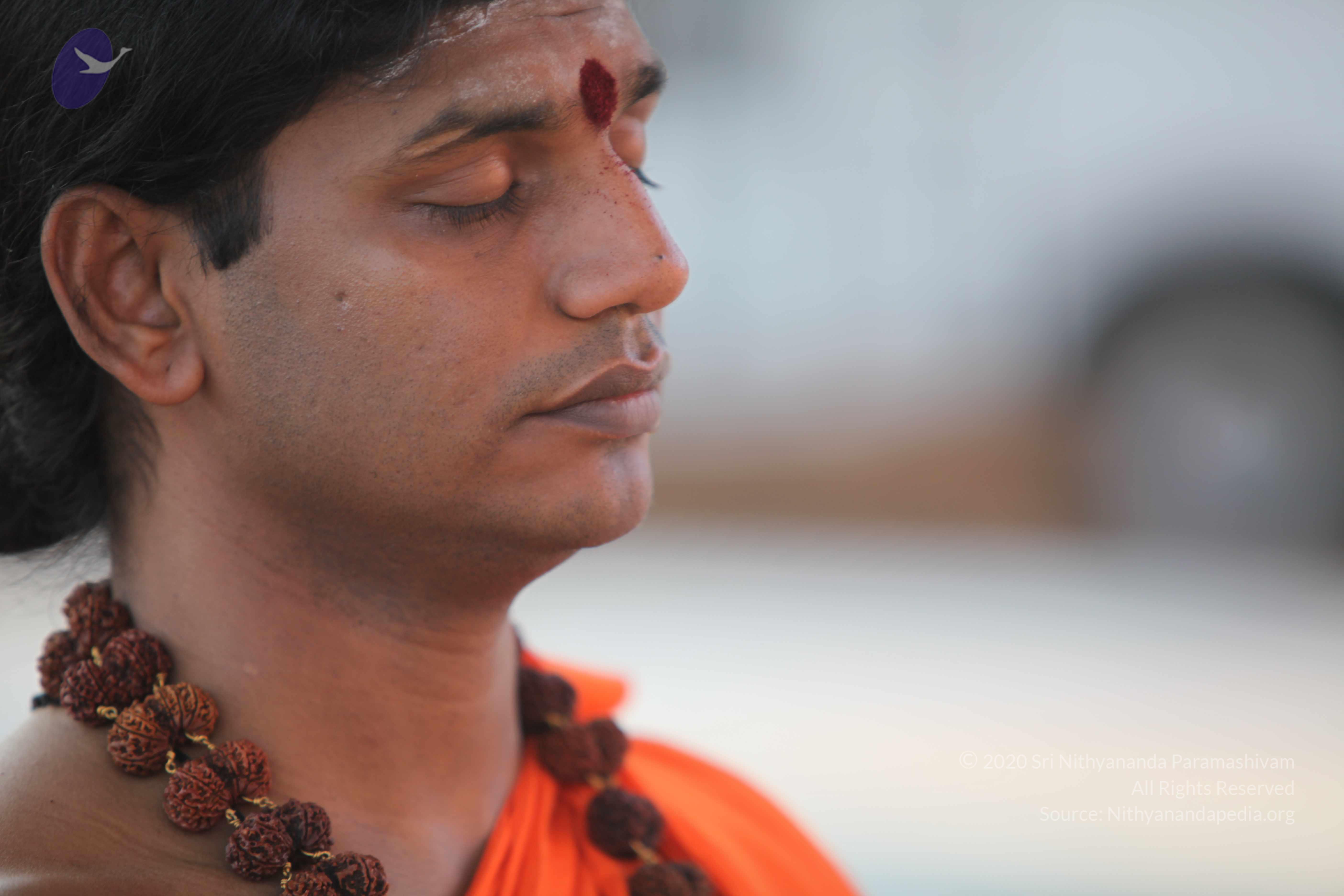 20110201_Photo_1030_IMG_2391_CMP_WM