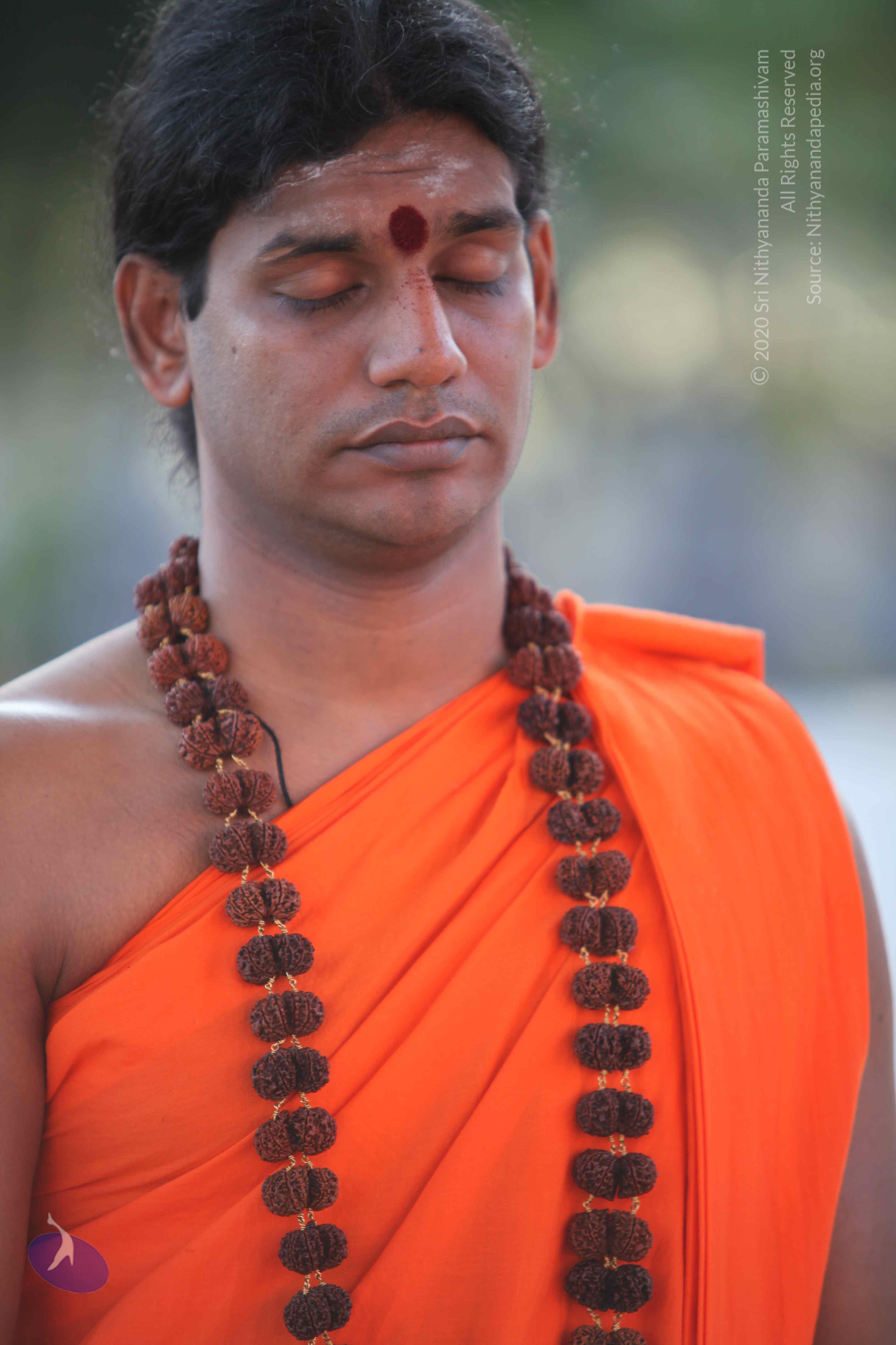 20110201_Photo_1031_IMG_2410_CMP_WM