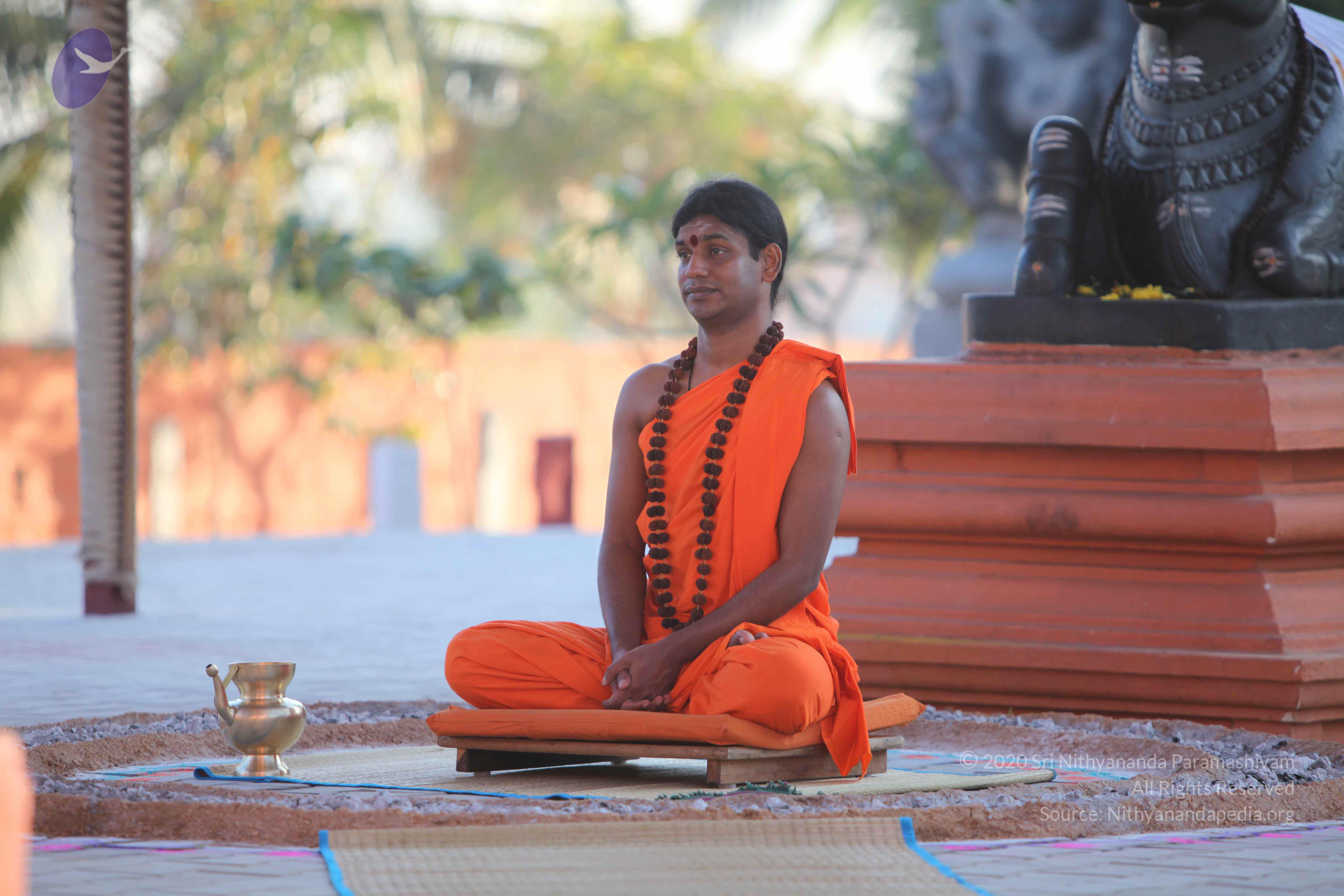 20110201_Photo_1035_IMG_2472_CMP_WM