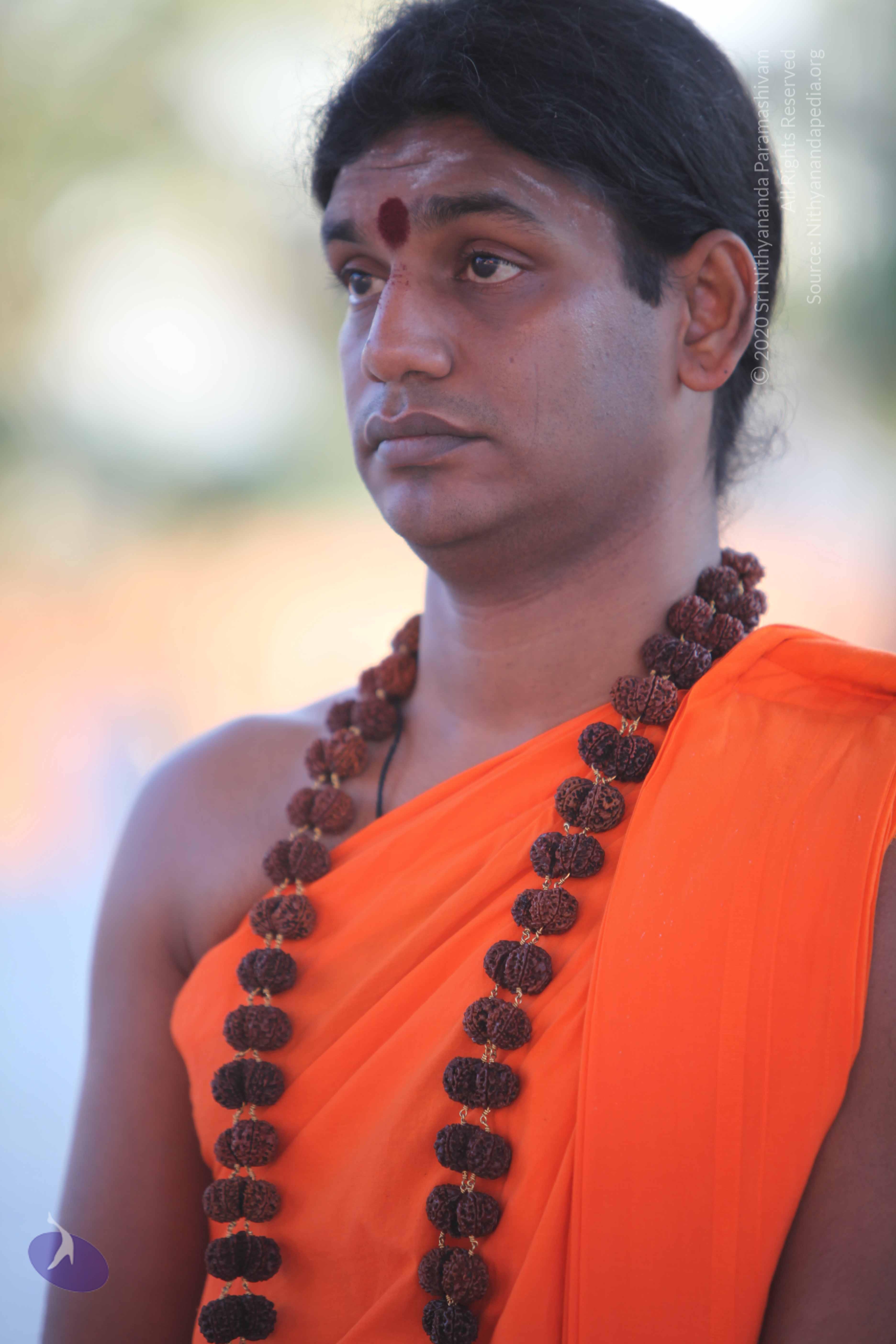 20110201_Photo_1036_IMG_2445_CMP_WM