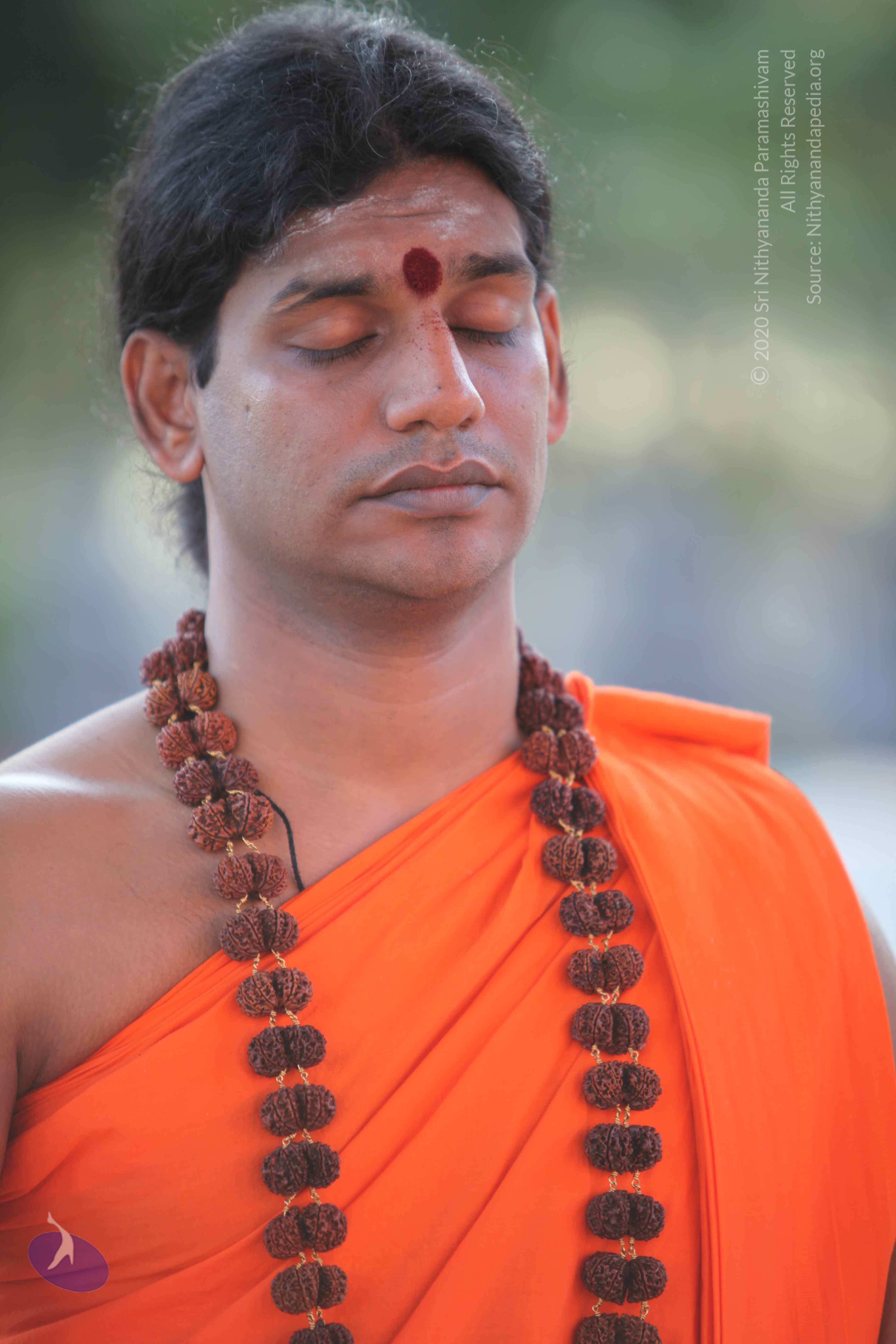 20110201_Photo_1043_IMG_2401_CMP_WM