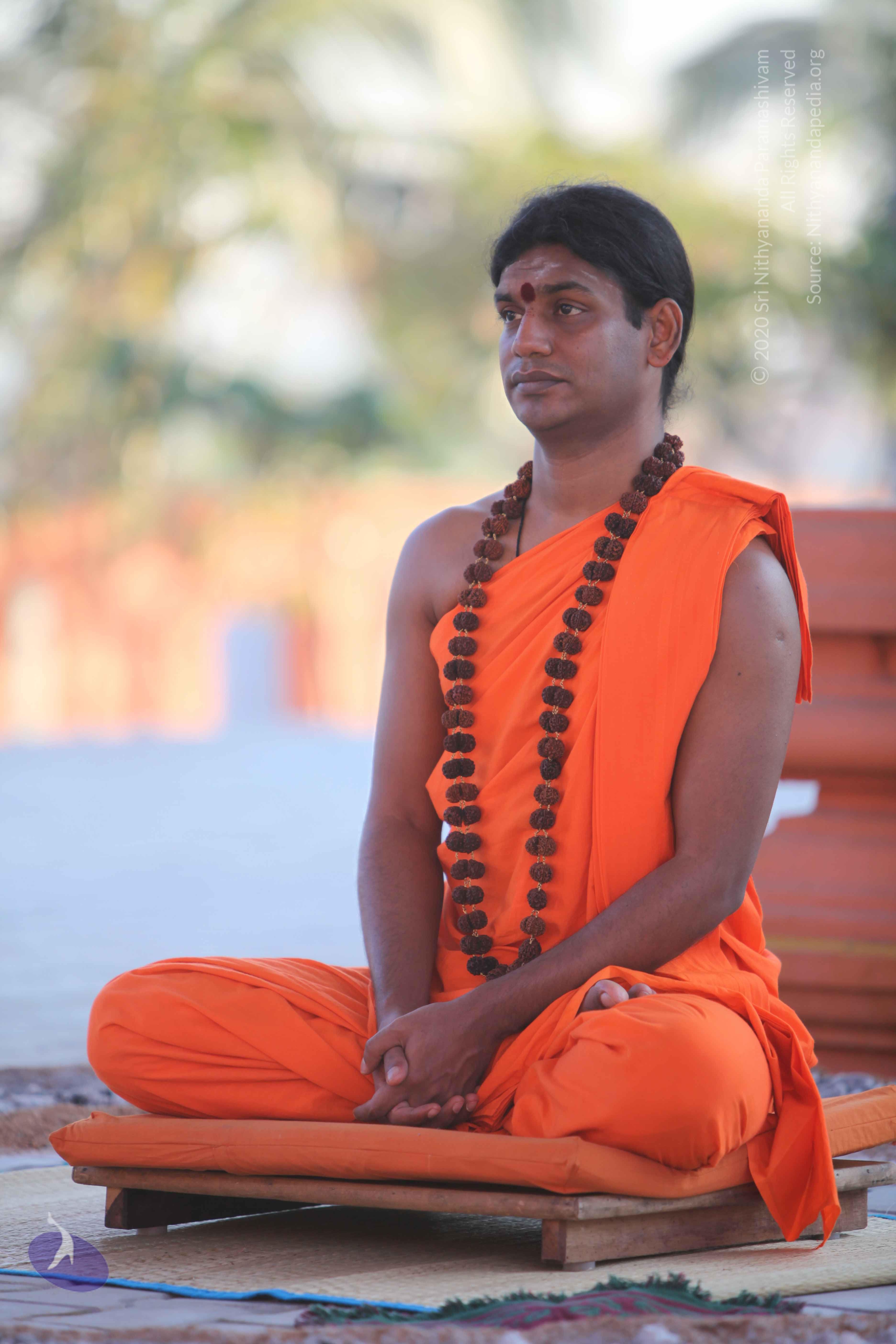 20110201_Photo_1048_IMG_2478_CMP_WM