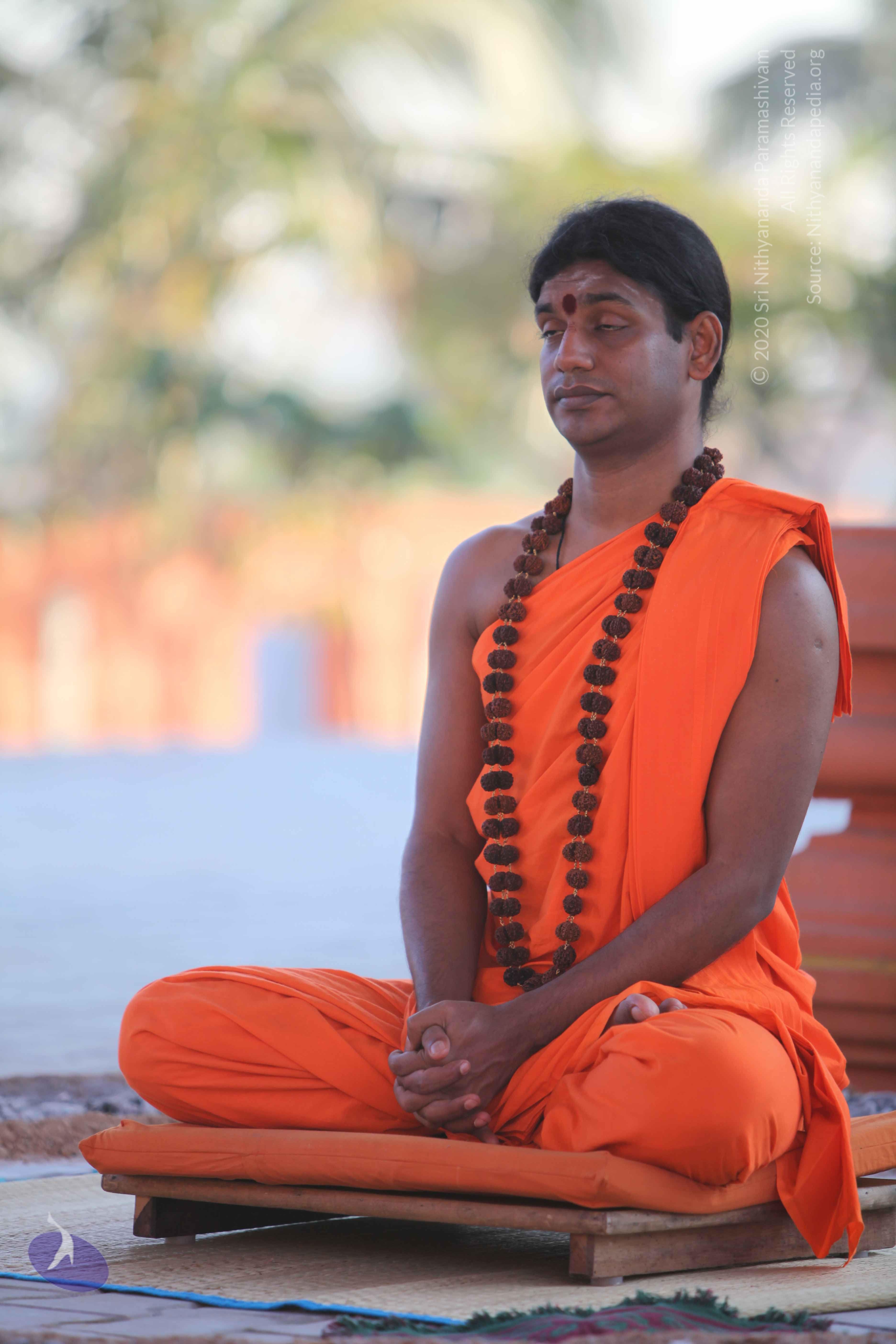 20110201_Photo_1052_IMG_2487_CMP_WM