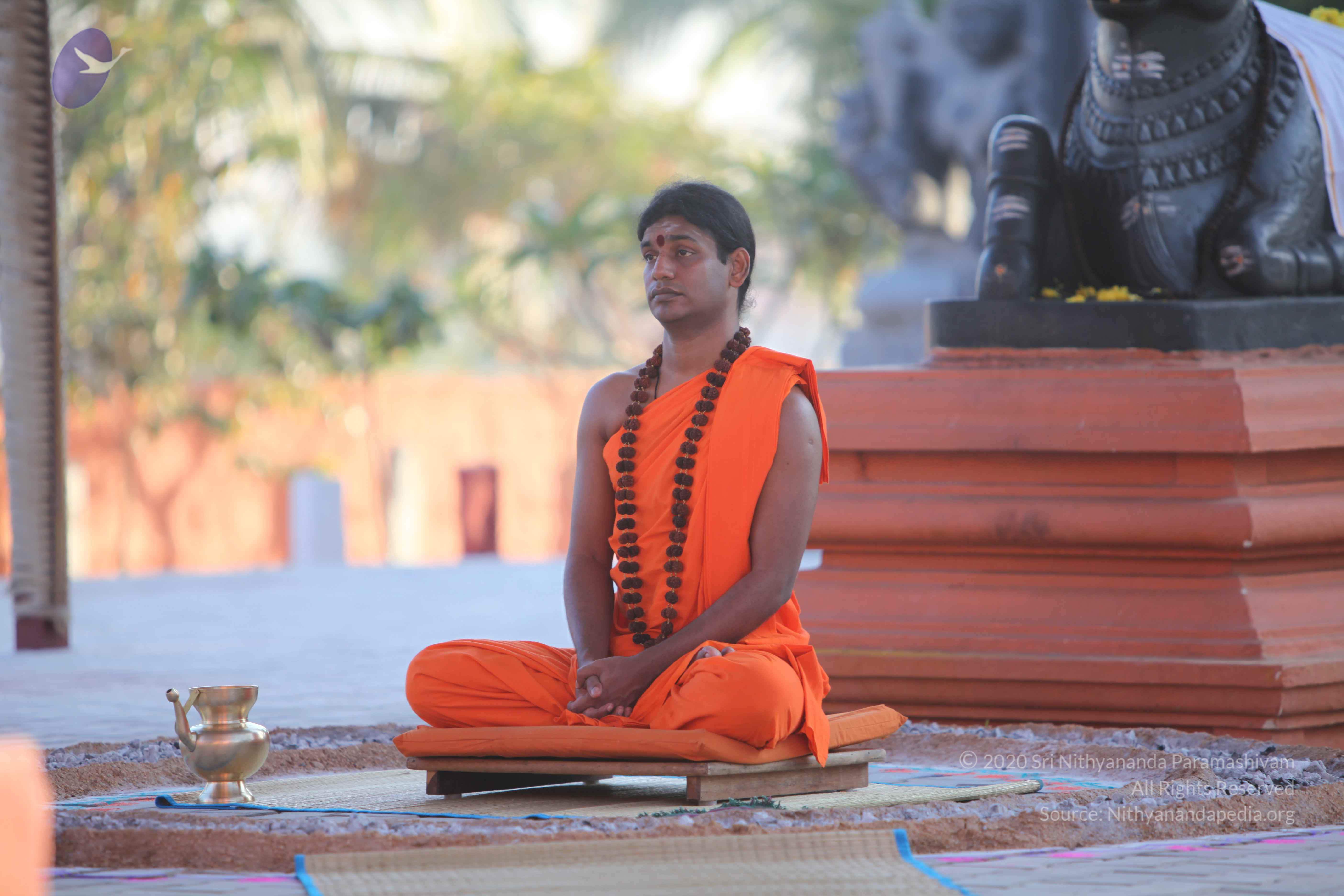 20110201_Photo_1053_IMG_2453_CMP_WM