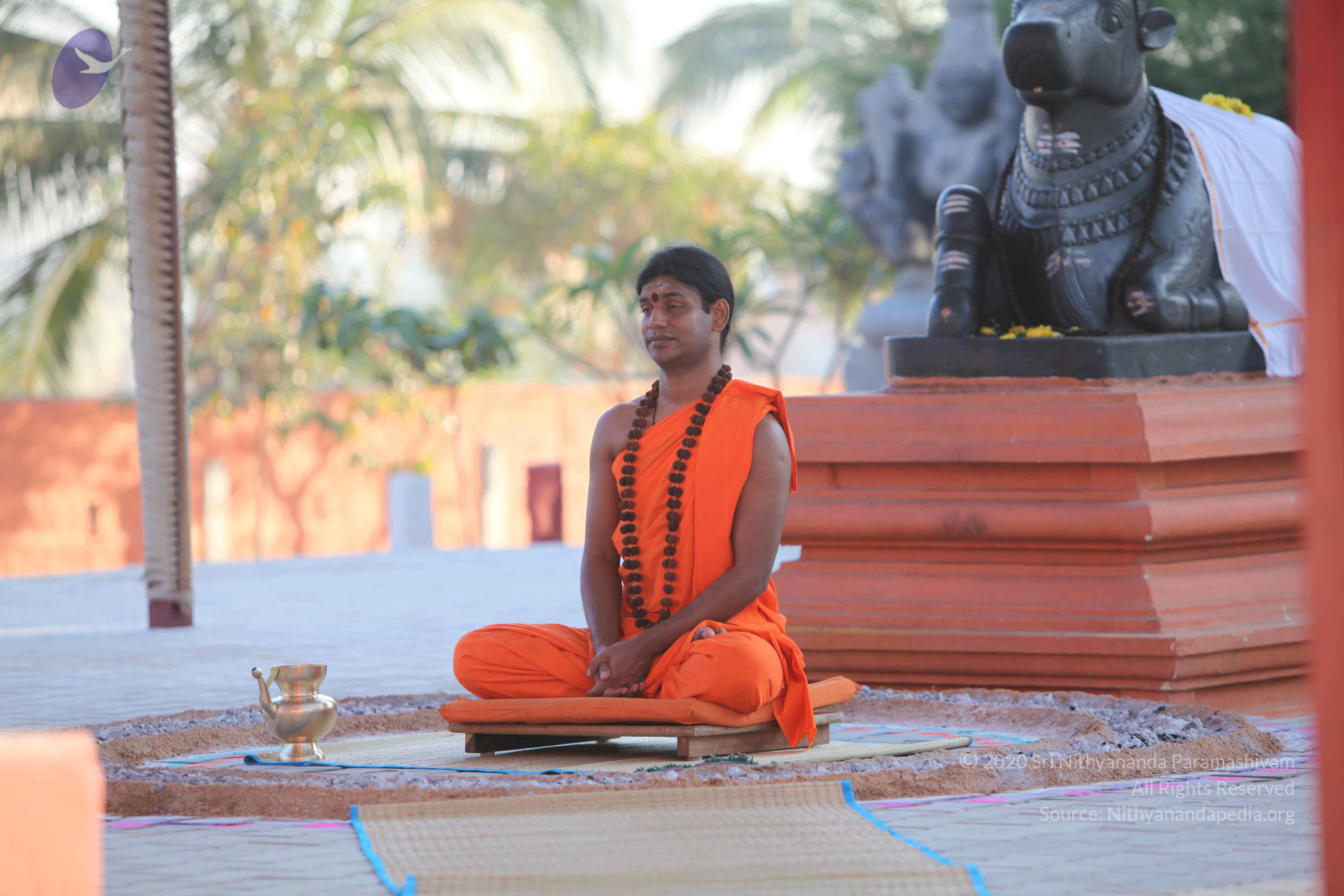 20110201_Photo_1054_IMG_2464_CMP_WM