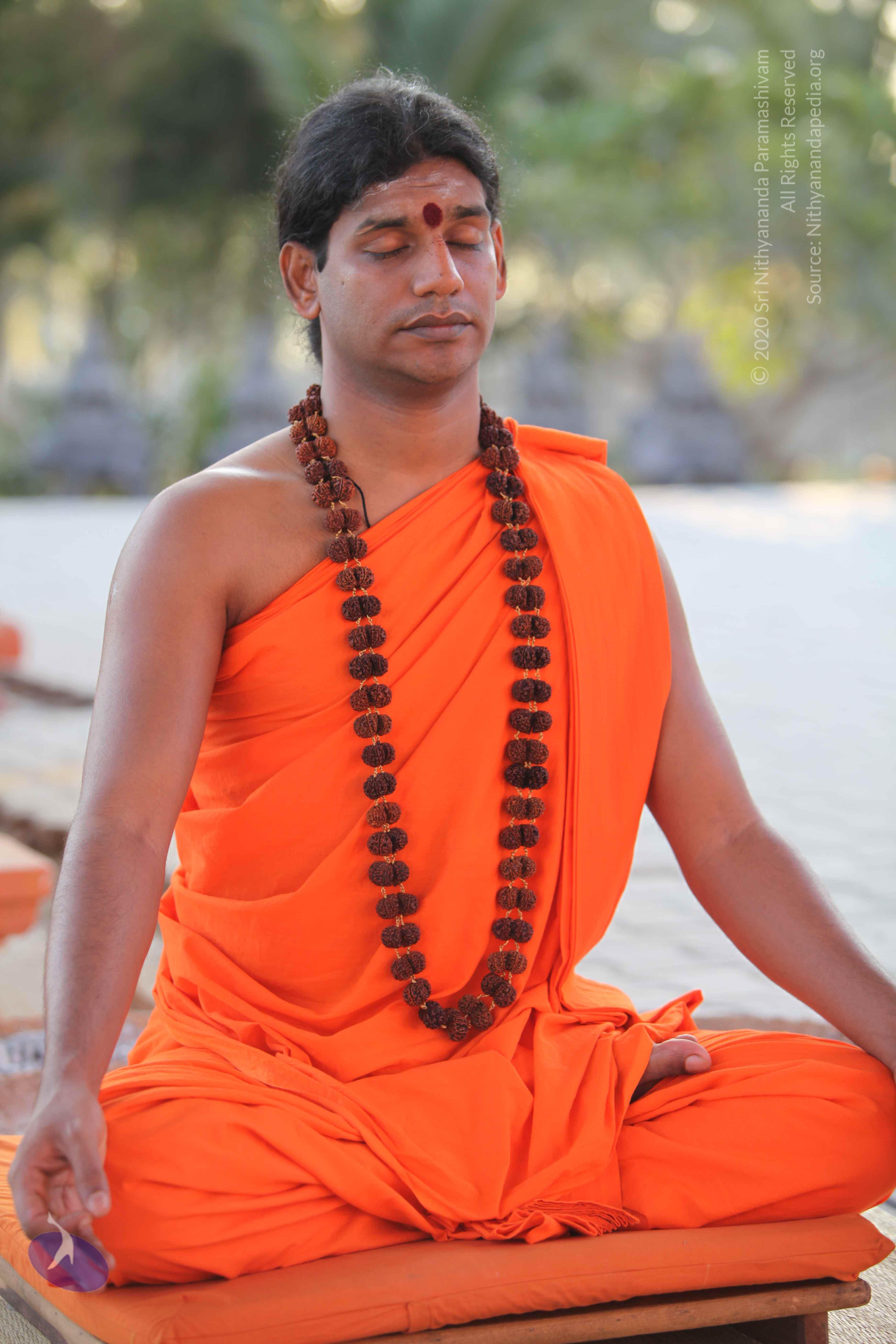 20110201_Photo_1057_IMG_2406_CMP_WM