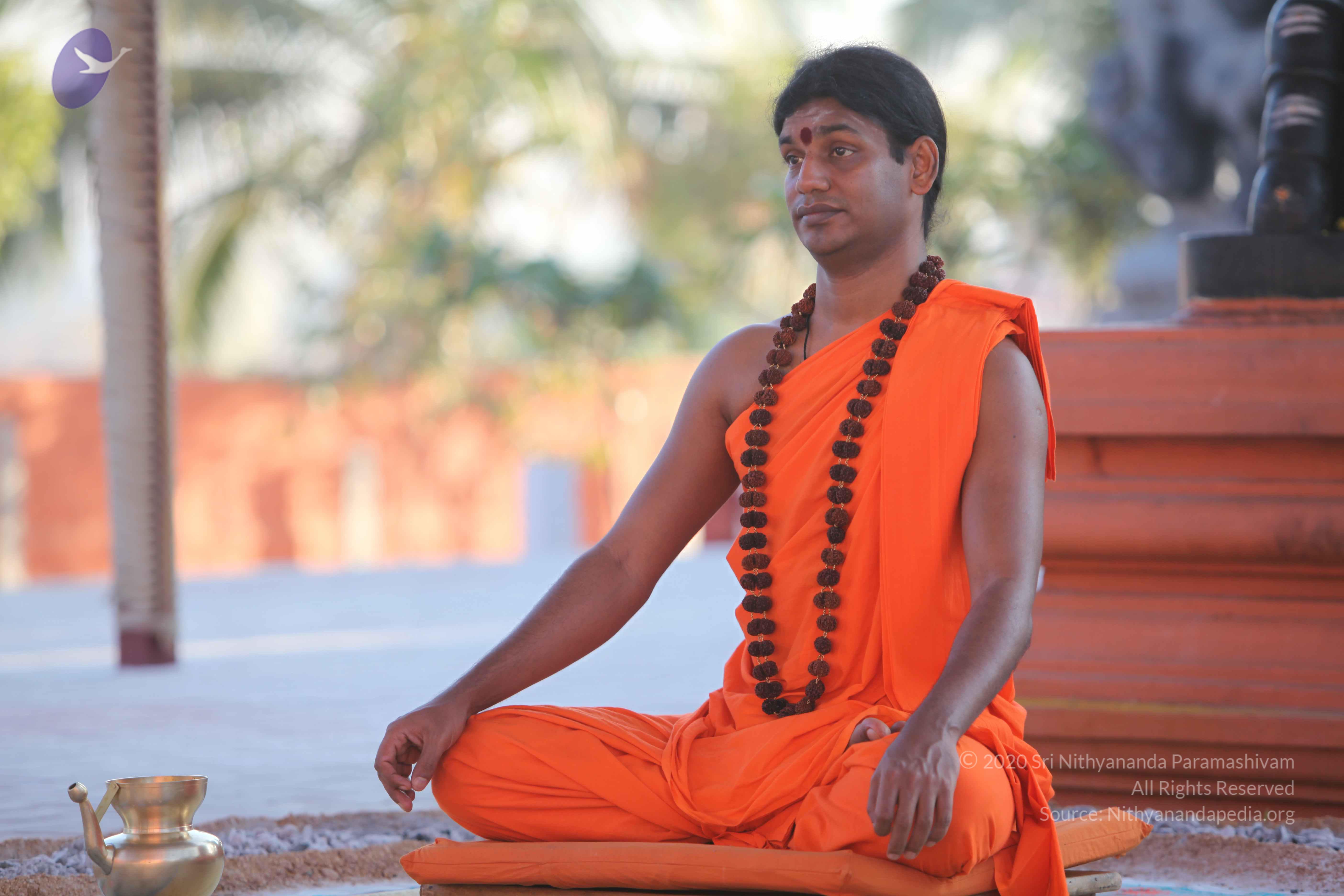 20110201_Photo_1058_IMG_2525_CMP_WM