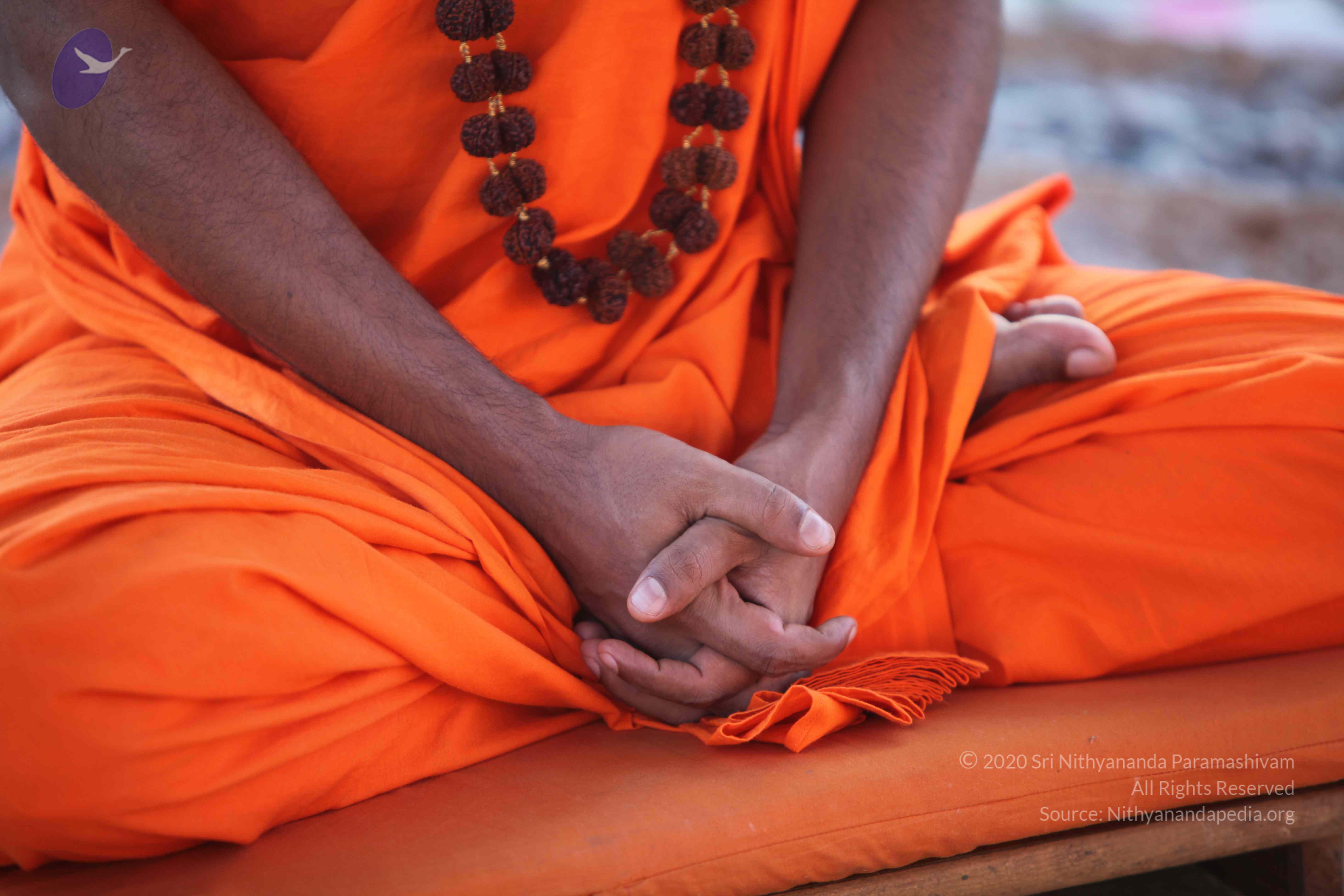 20110201_Photo_1062_IMG_2417_CMP_WM