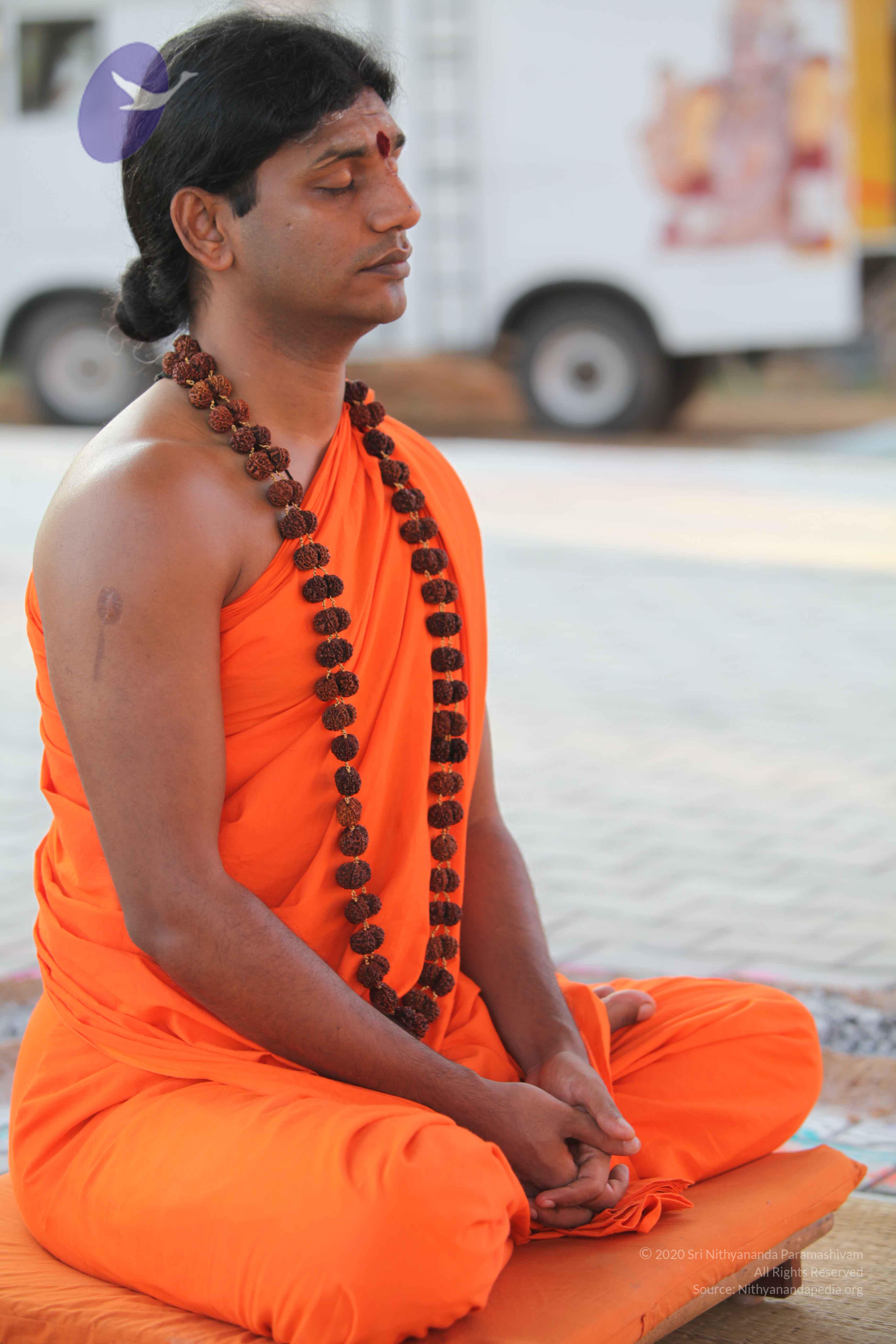 20110201_Photo_1063_IMG_2375_CMP_WM