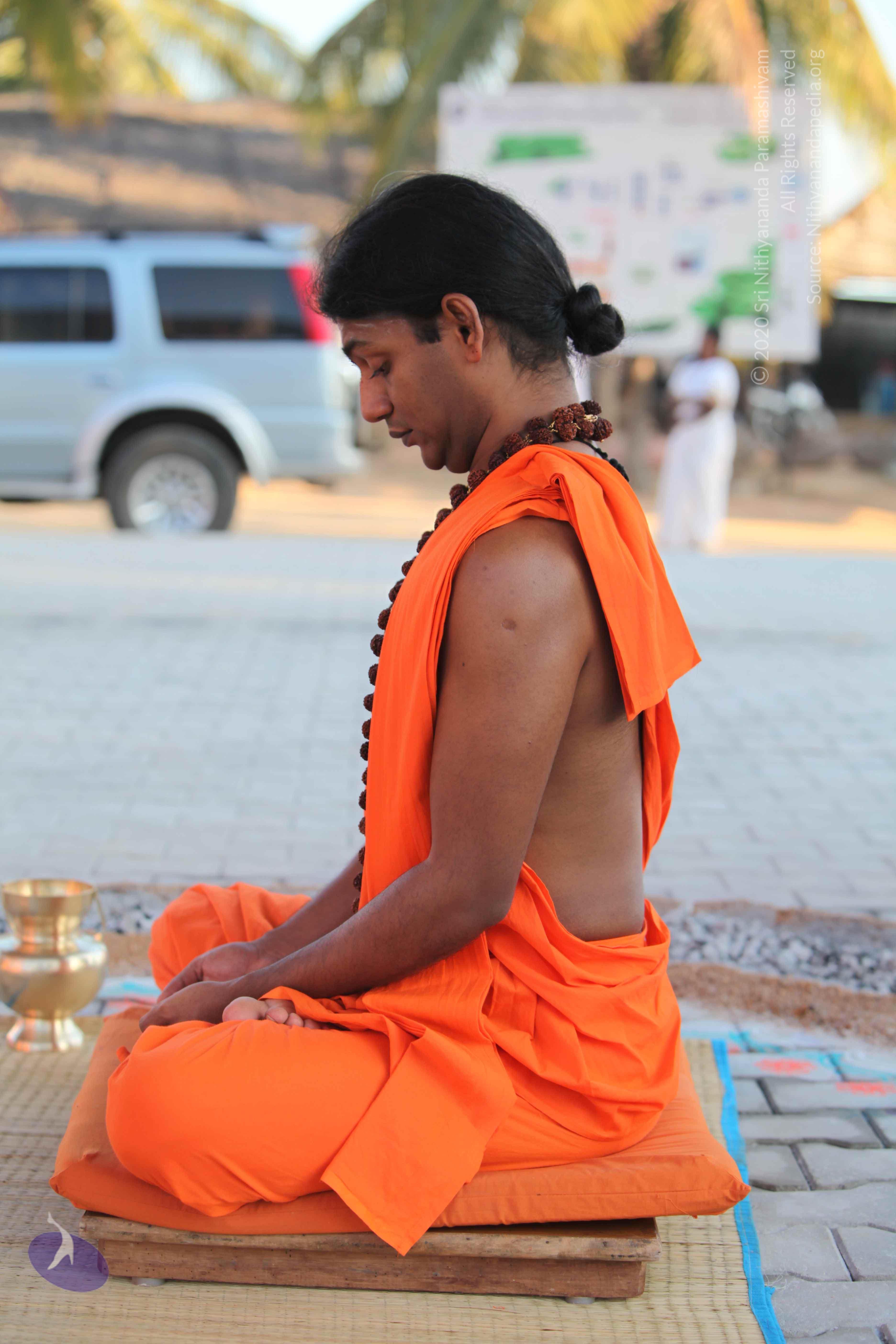 20110201_Photo_1064_IMG_2420_CMP_WM