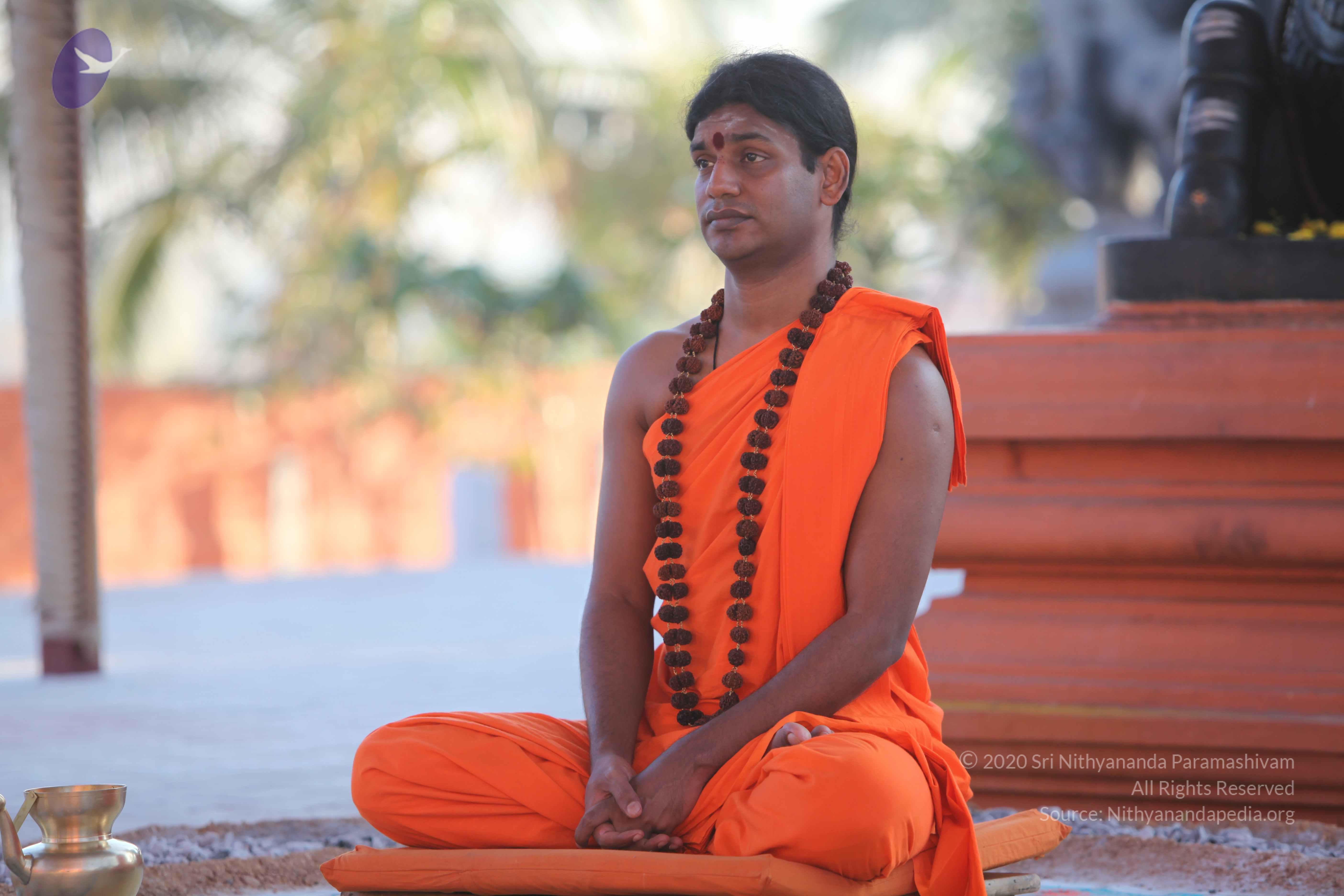 20110201_Photo_1068_IMG_2496_CMP_WM