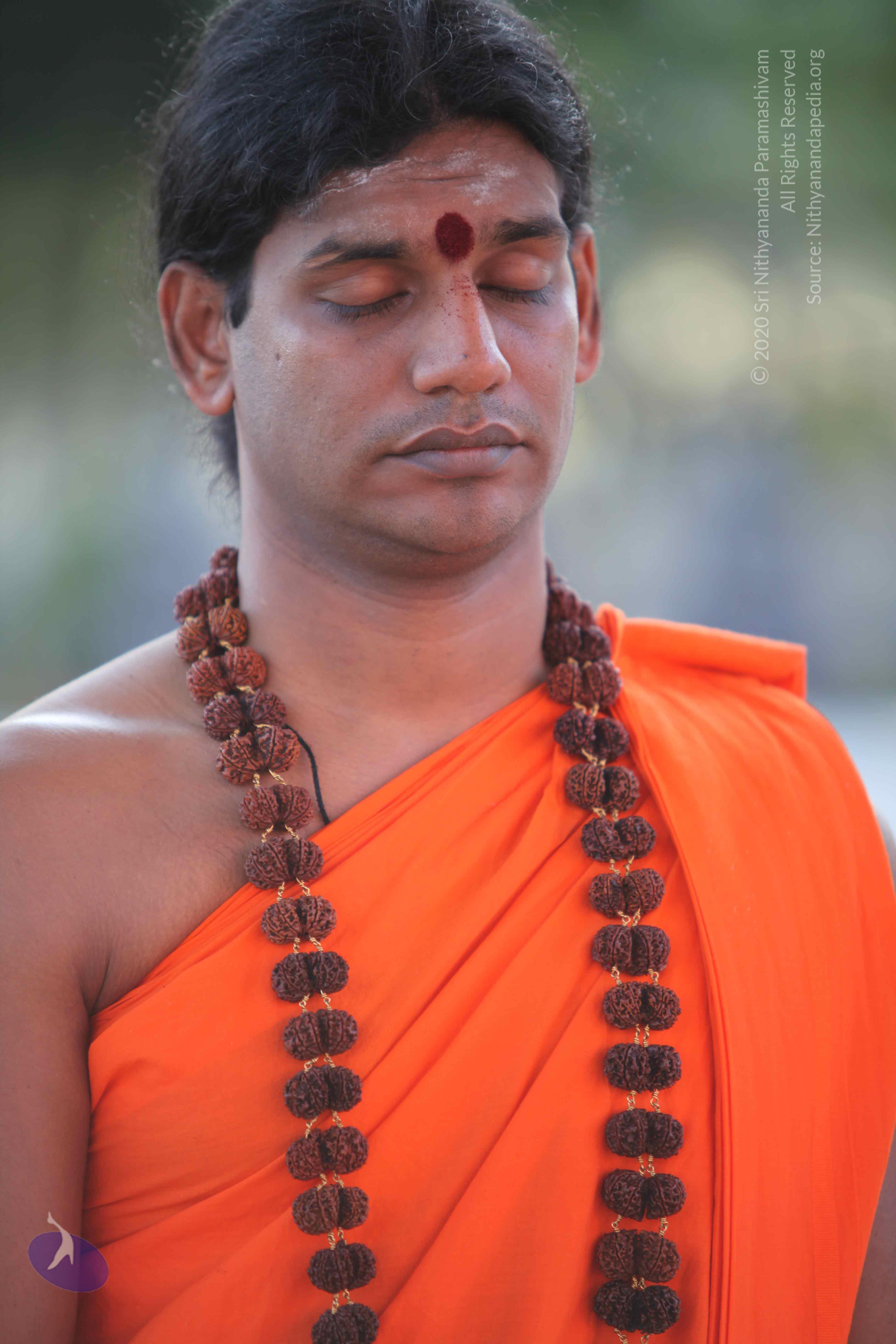 20110201_Photo_1074_IMG_2412_CMP_WM