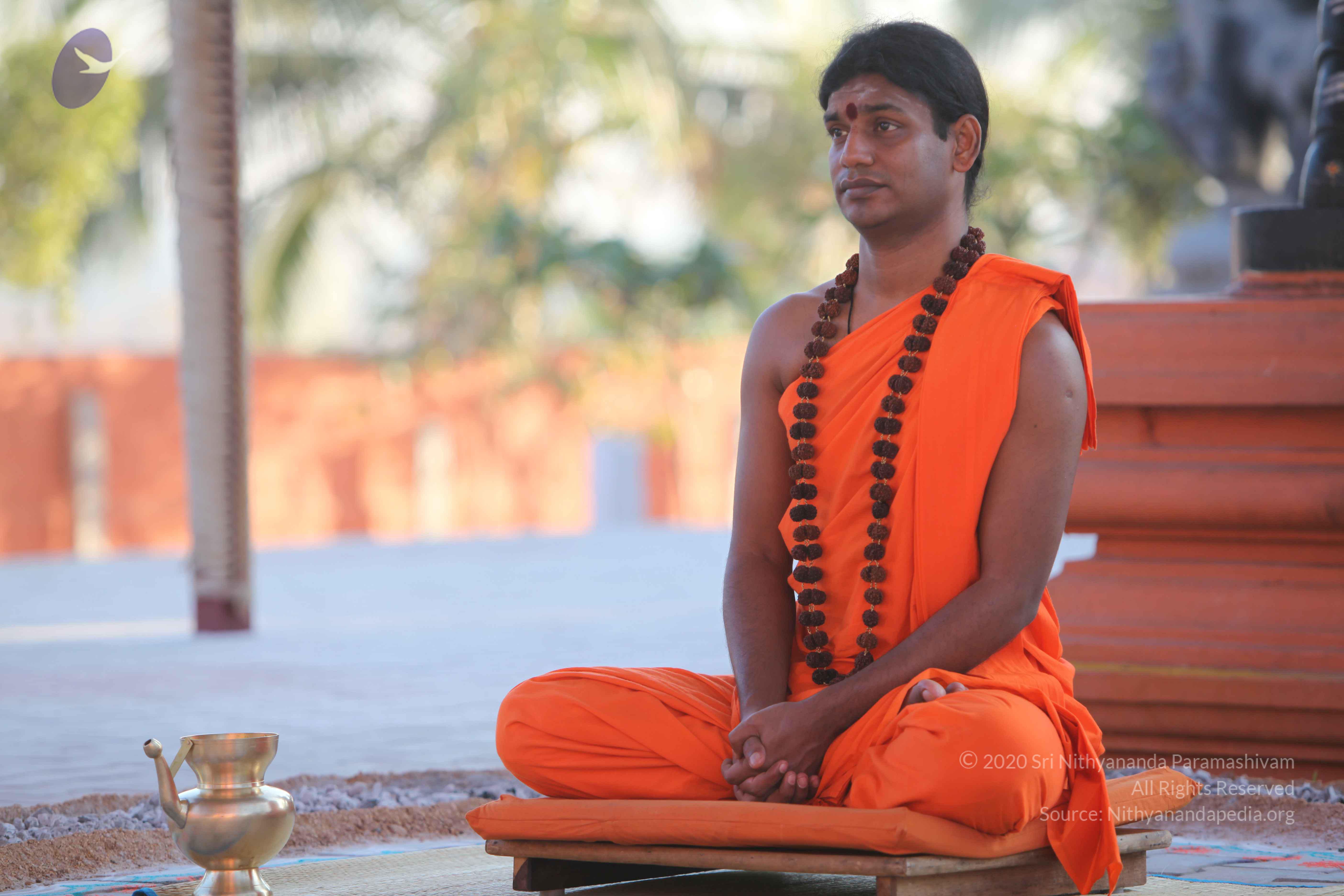 20110201_Photo_1081_IMG_2493_CMP_WM