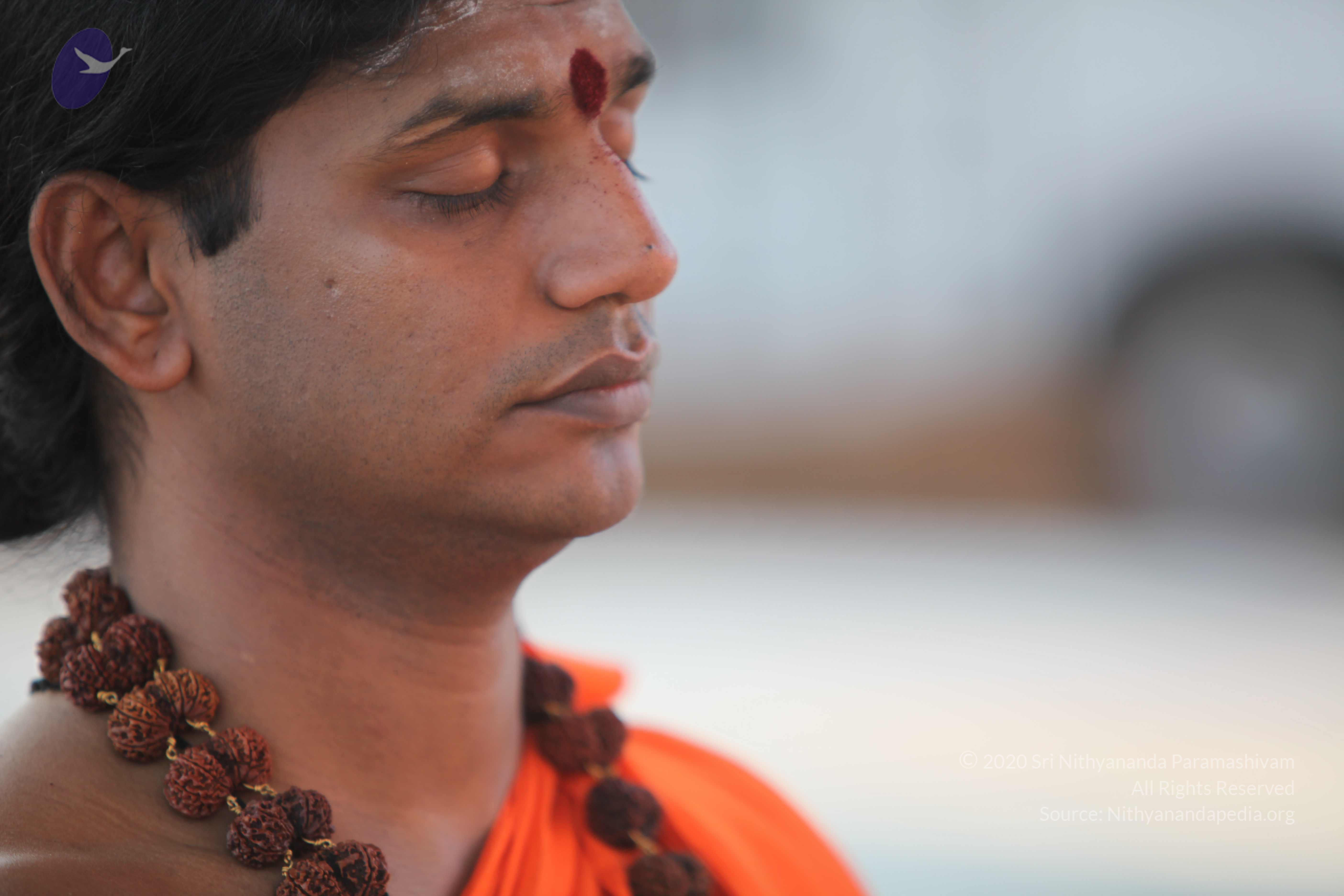 20110201_Photo_1082_IMG_2393_CMP_WM