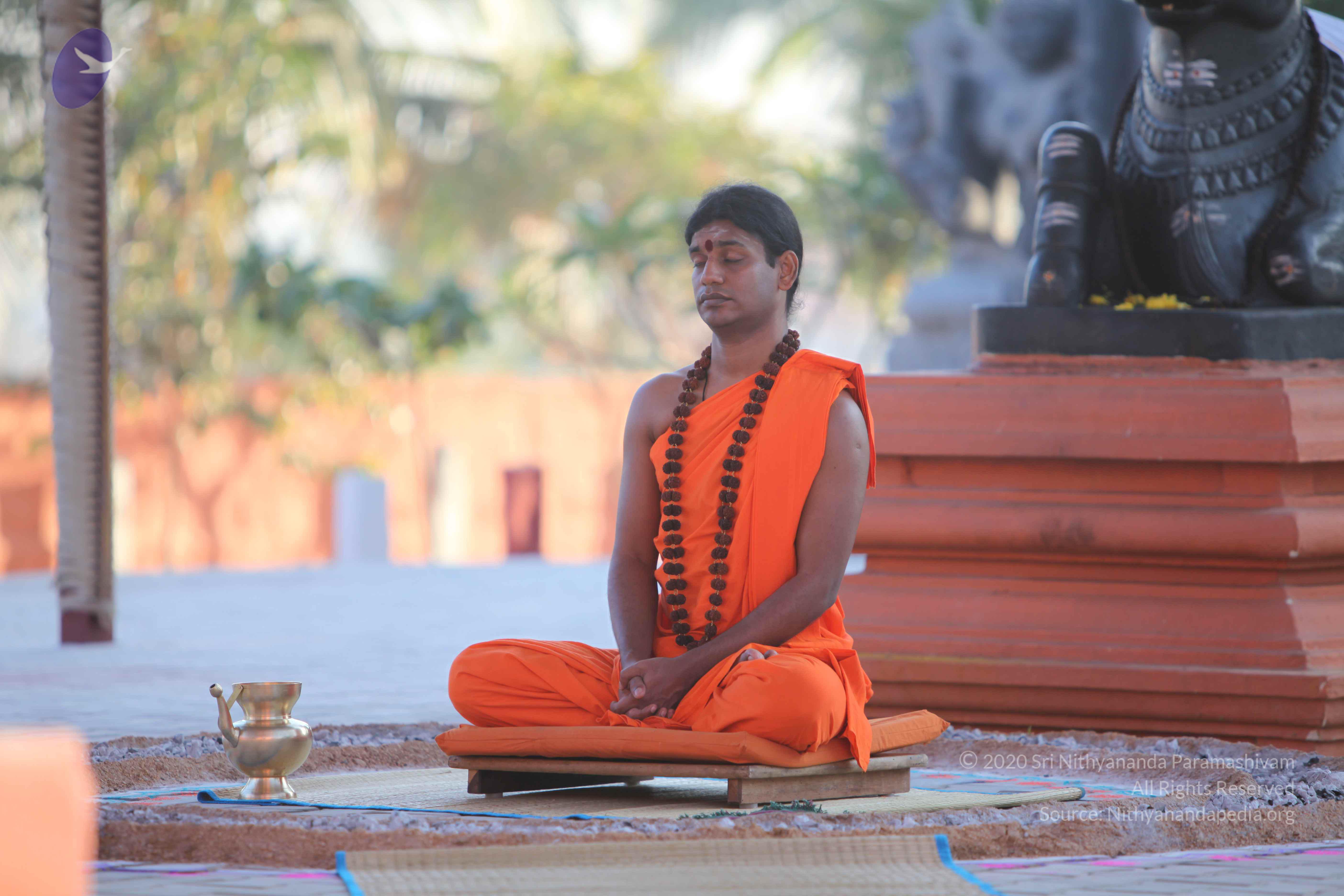 20110201_Photo_1087_IMG_2456_CMP_WM