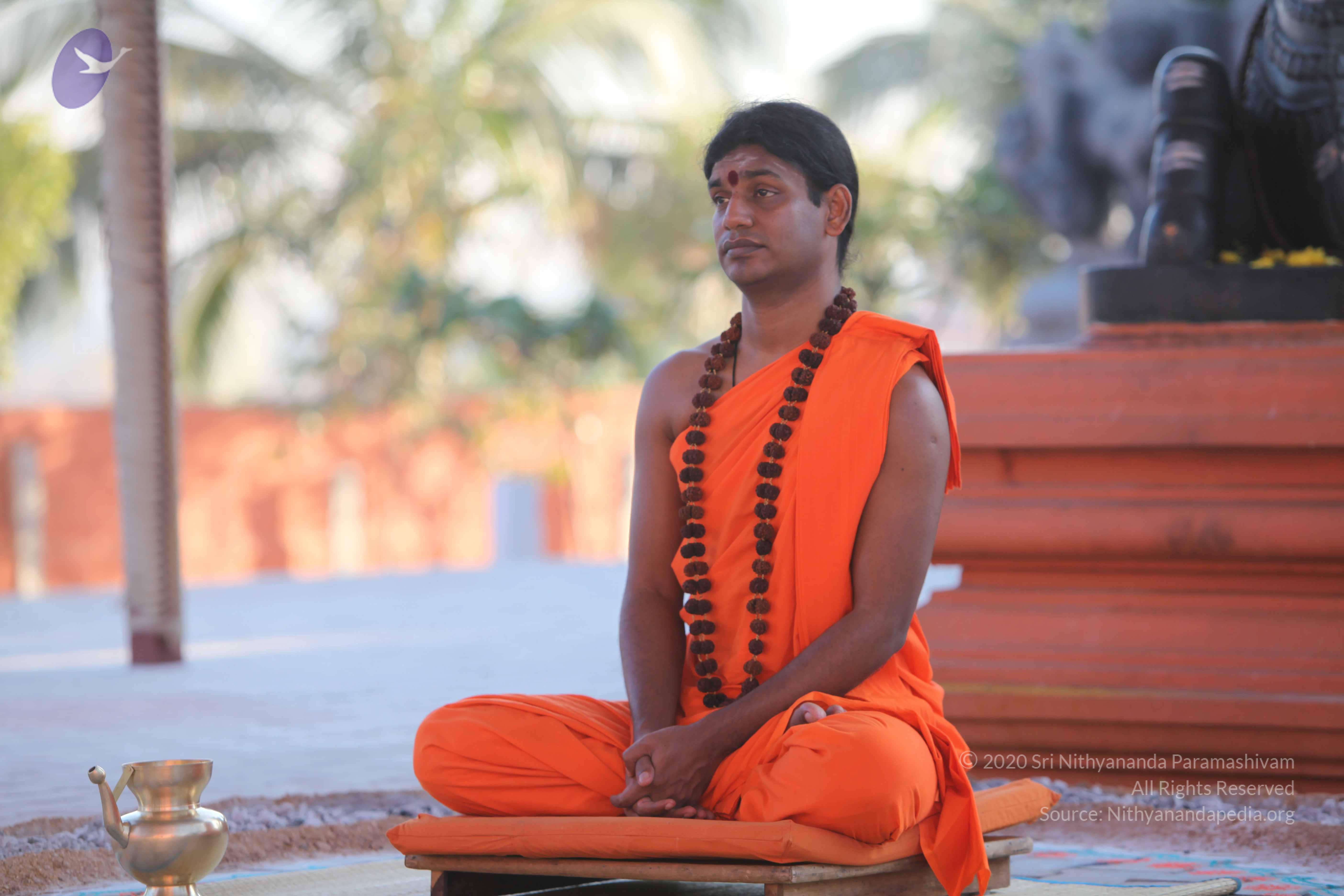 20110201_Photo_1088_IMG_2517_CMP_WM