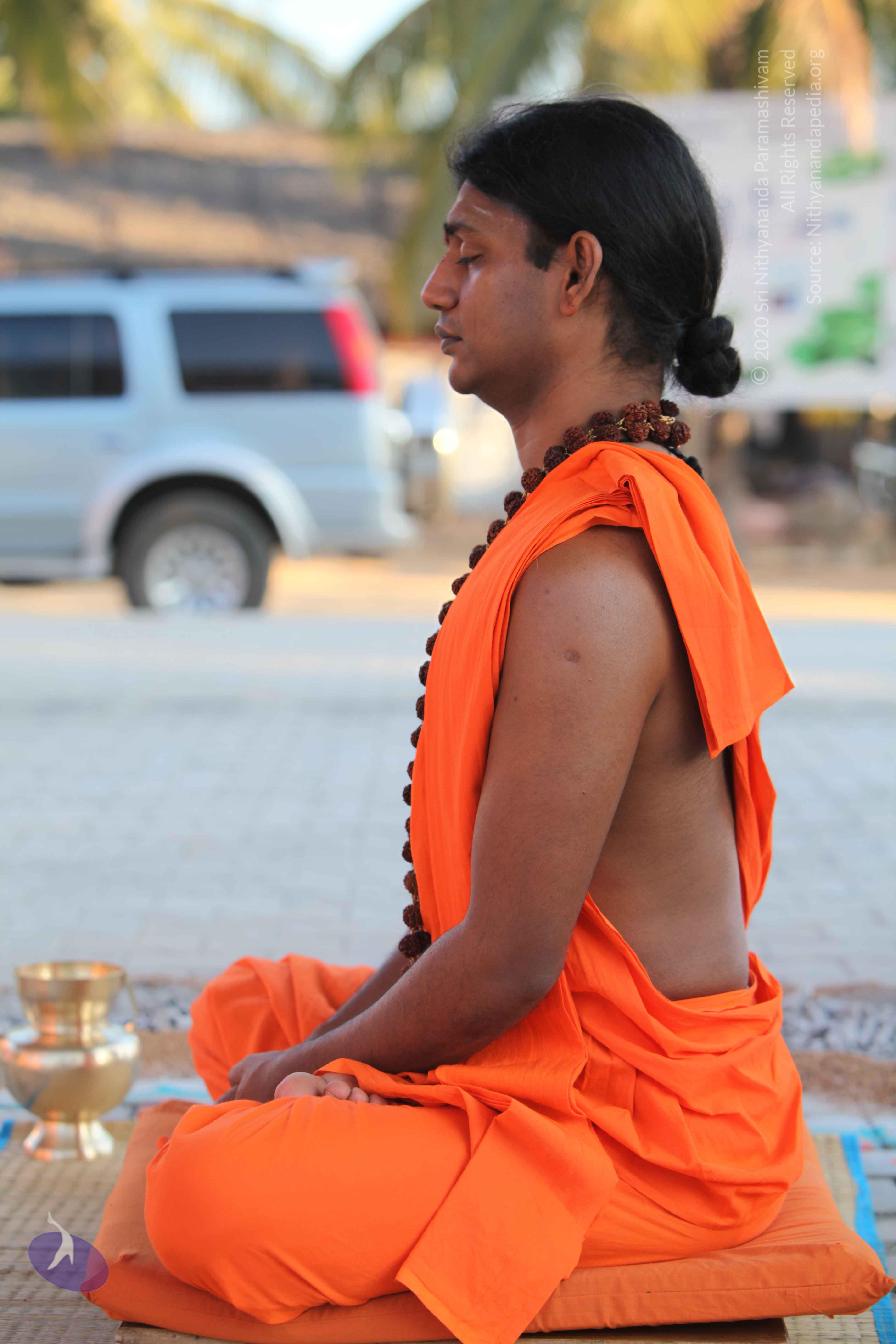 20110201_Photo_1091_IMG_2434_CMP_WM