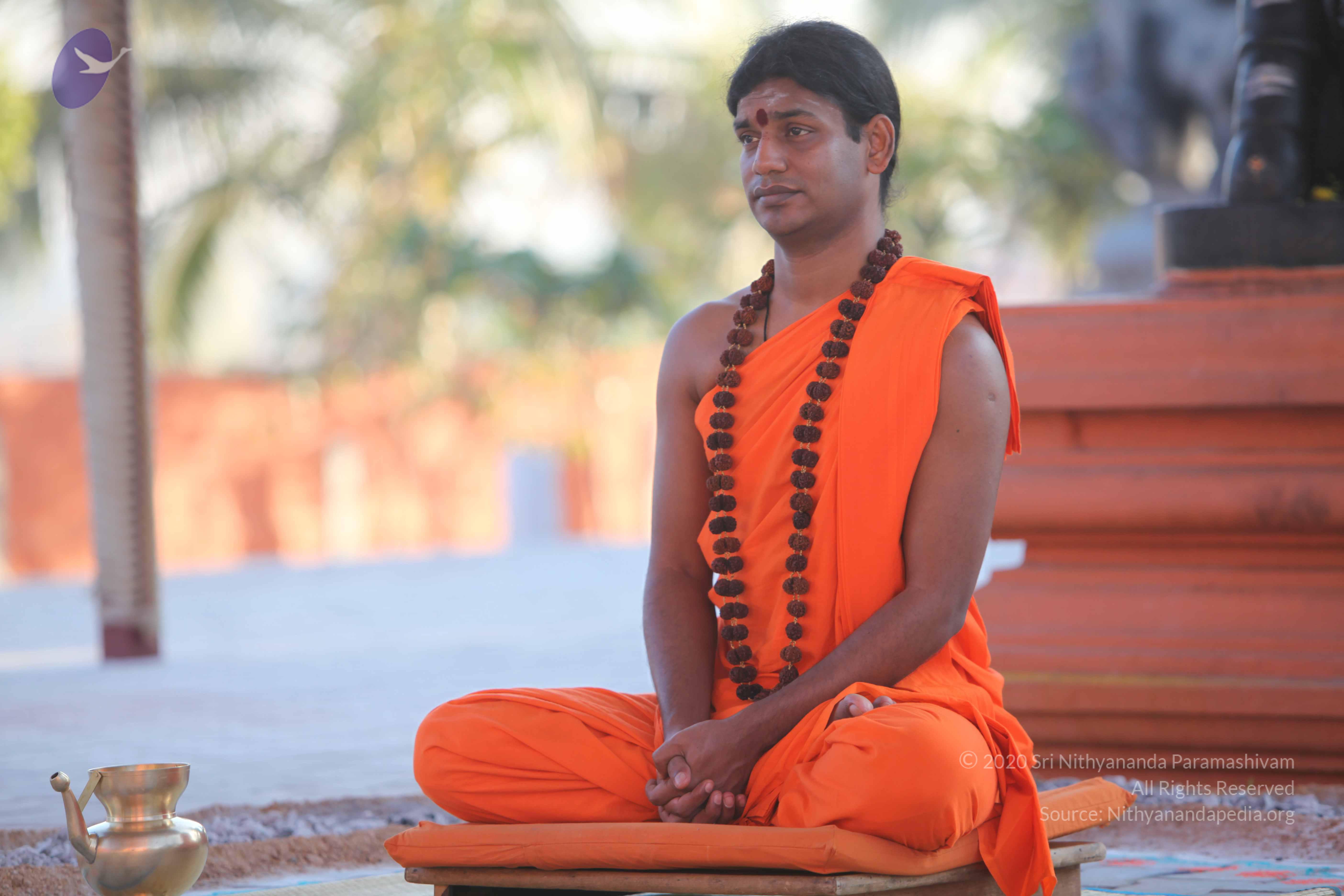 20110201_Photo_1092_IMG_2490_CMP_WM