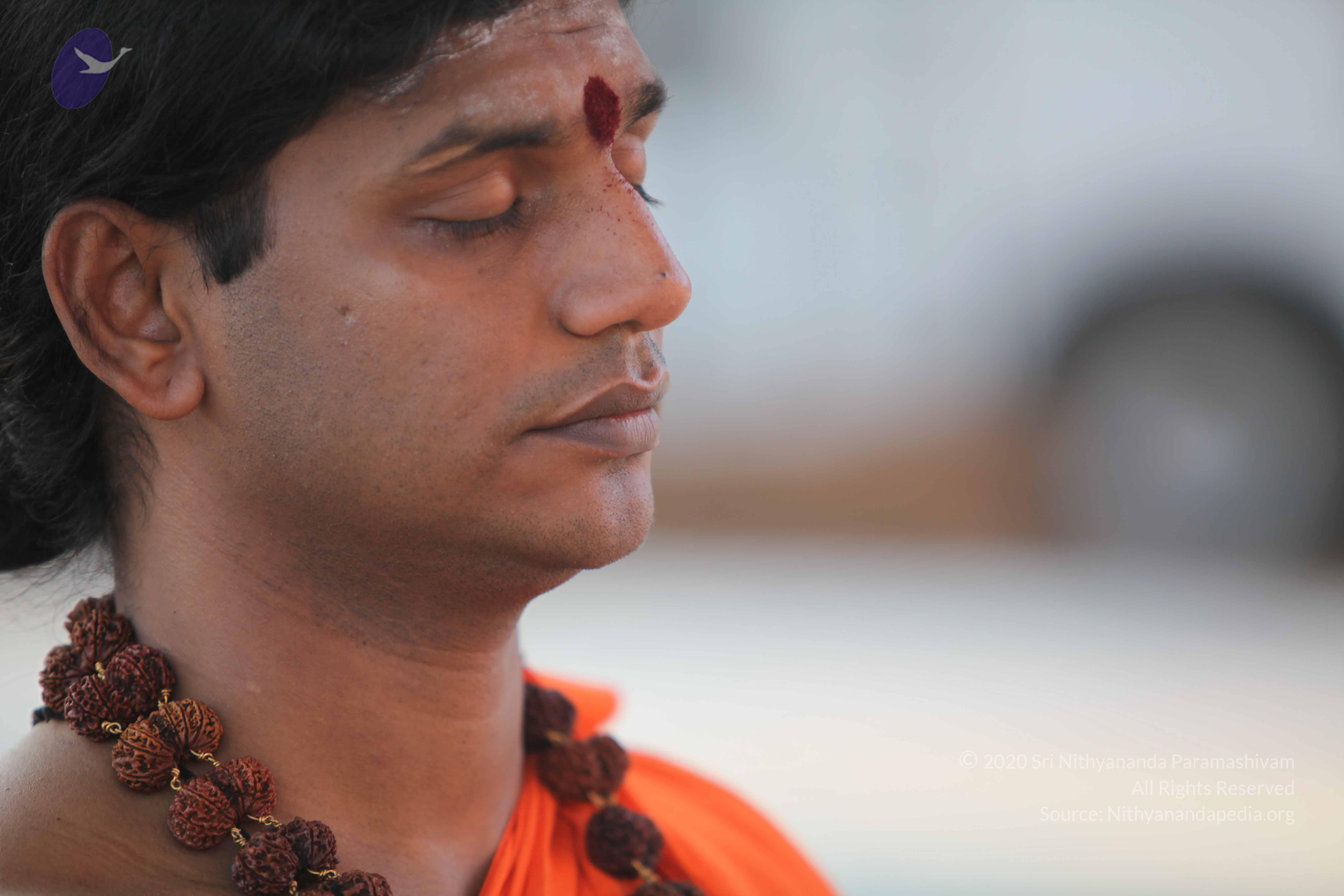 20110201_Photo_1093_IMG_2390_CMP_WM