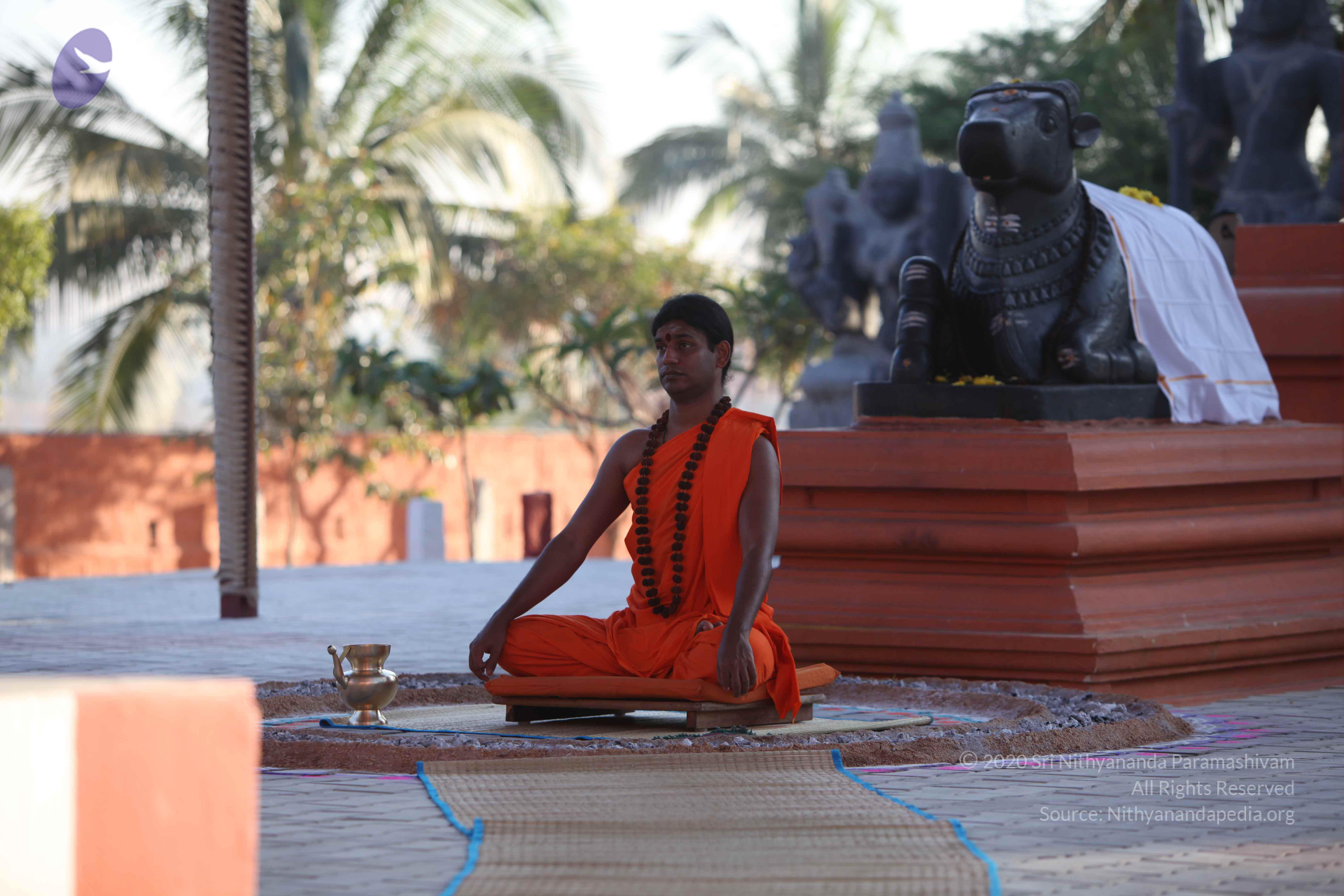 20110201_Photo_1095_IMG_2458_CMP_WM