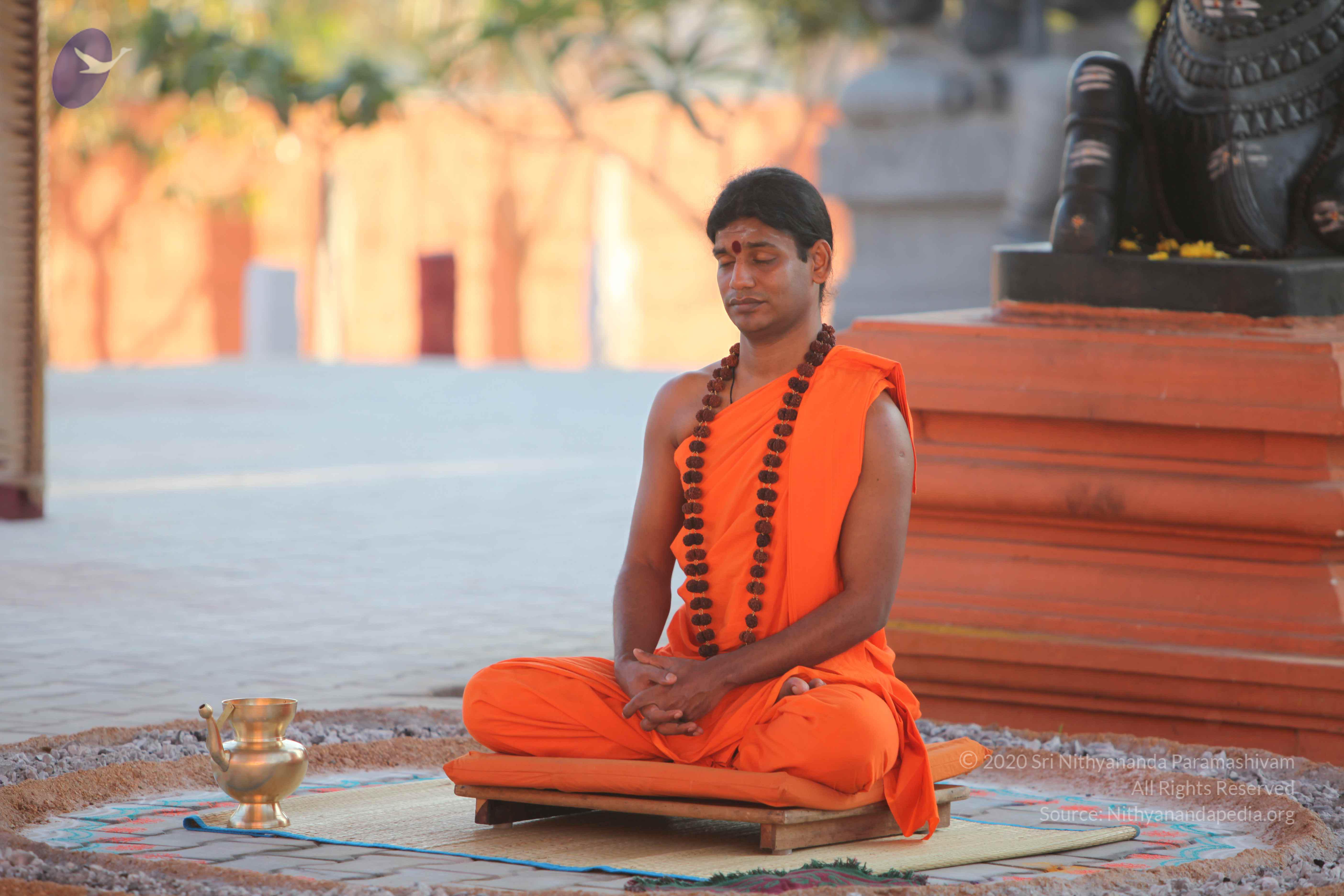 20110201_Photo_1102_IMG_2550_CMP_WM