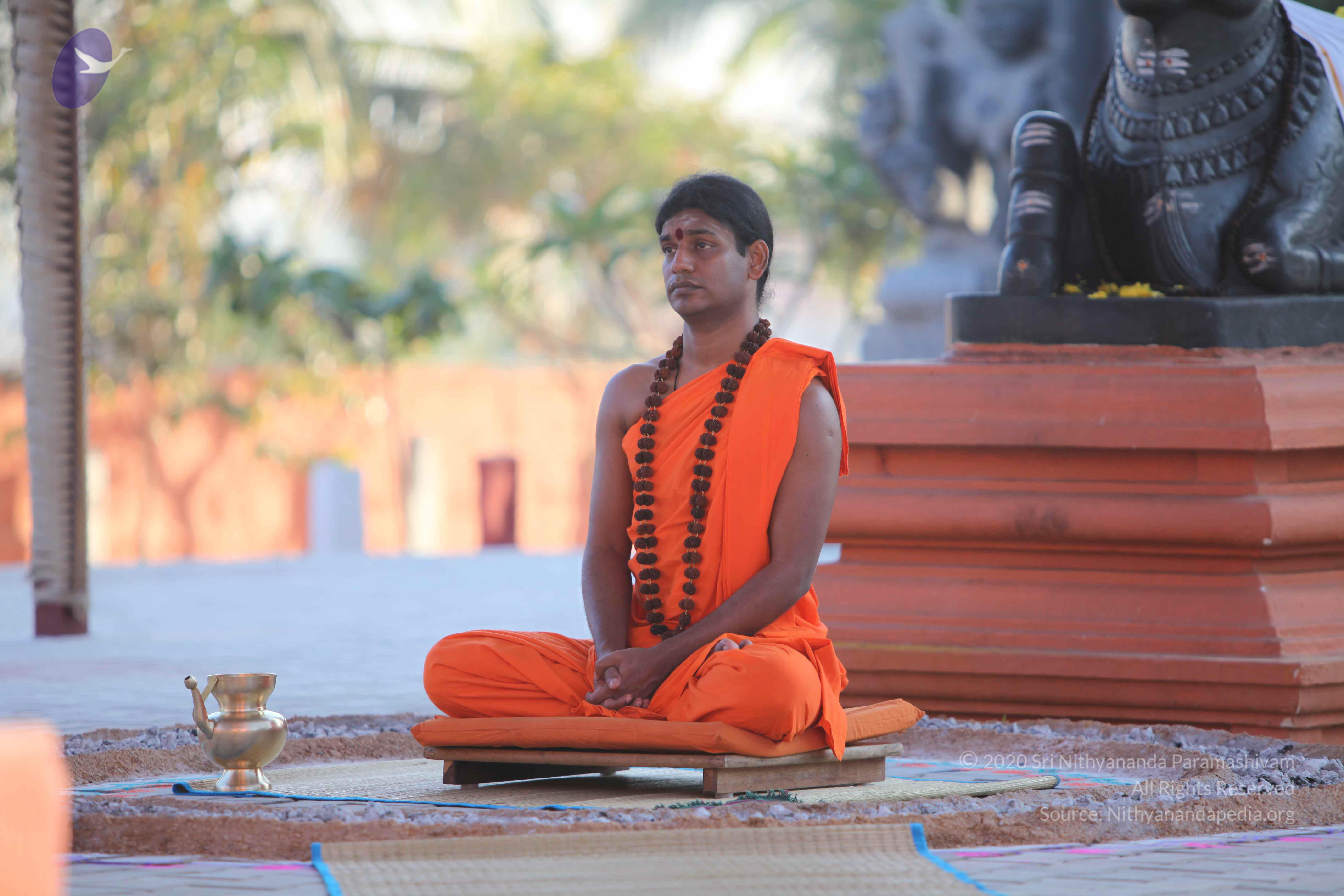 20110201_Photo_1104_IMG_2455_CMP_WM