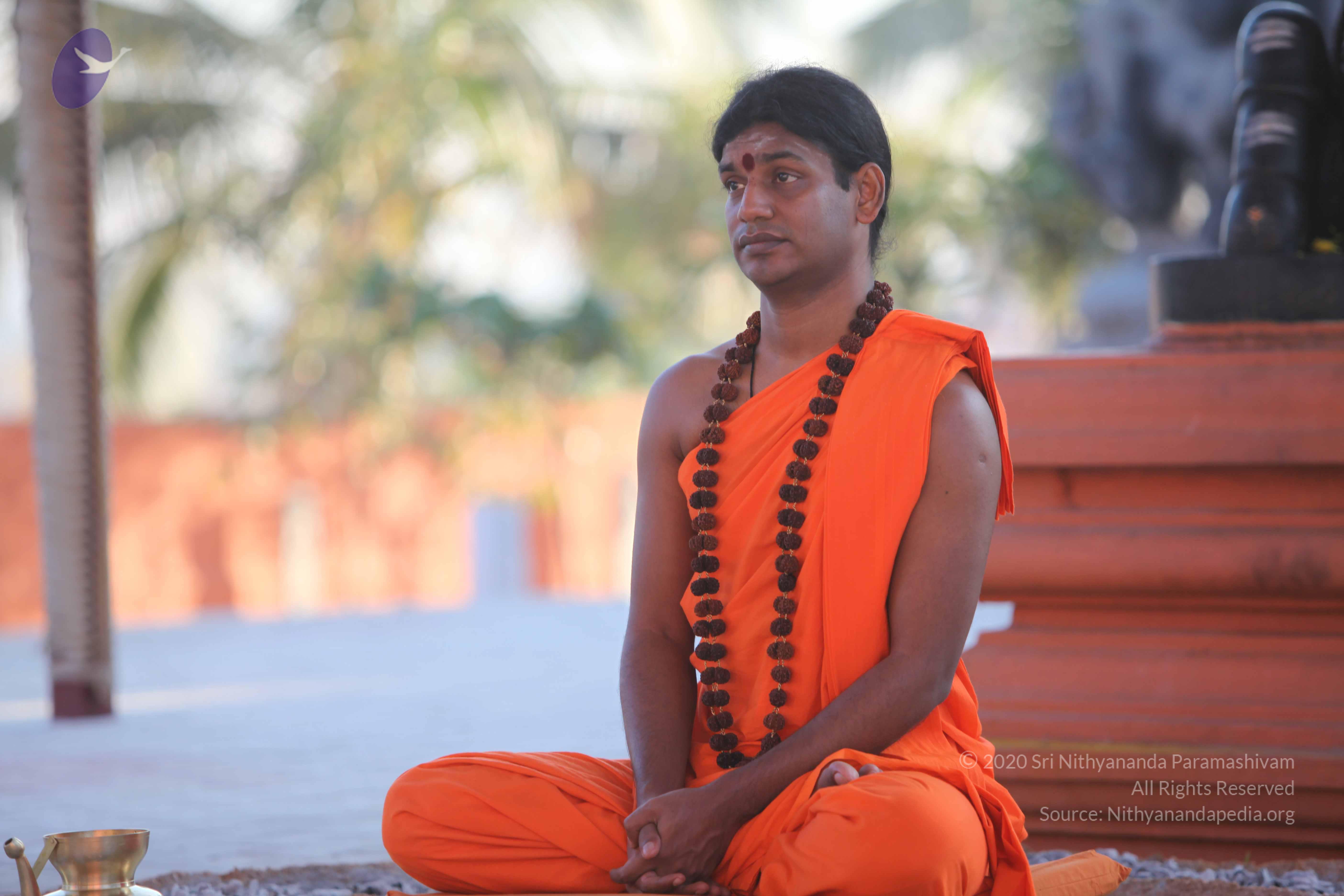 20110201_Photo_1107_IMG_2514_CMP_WM