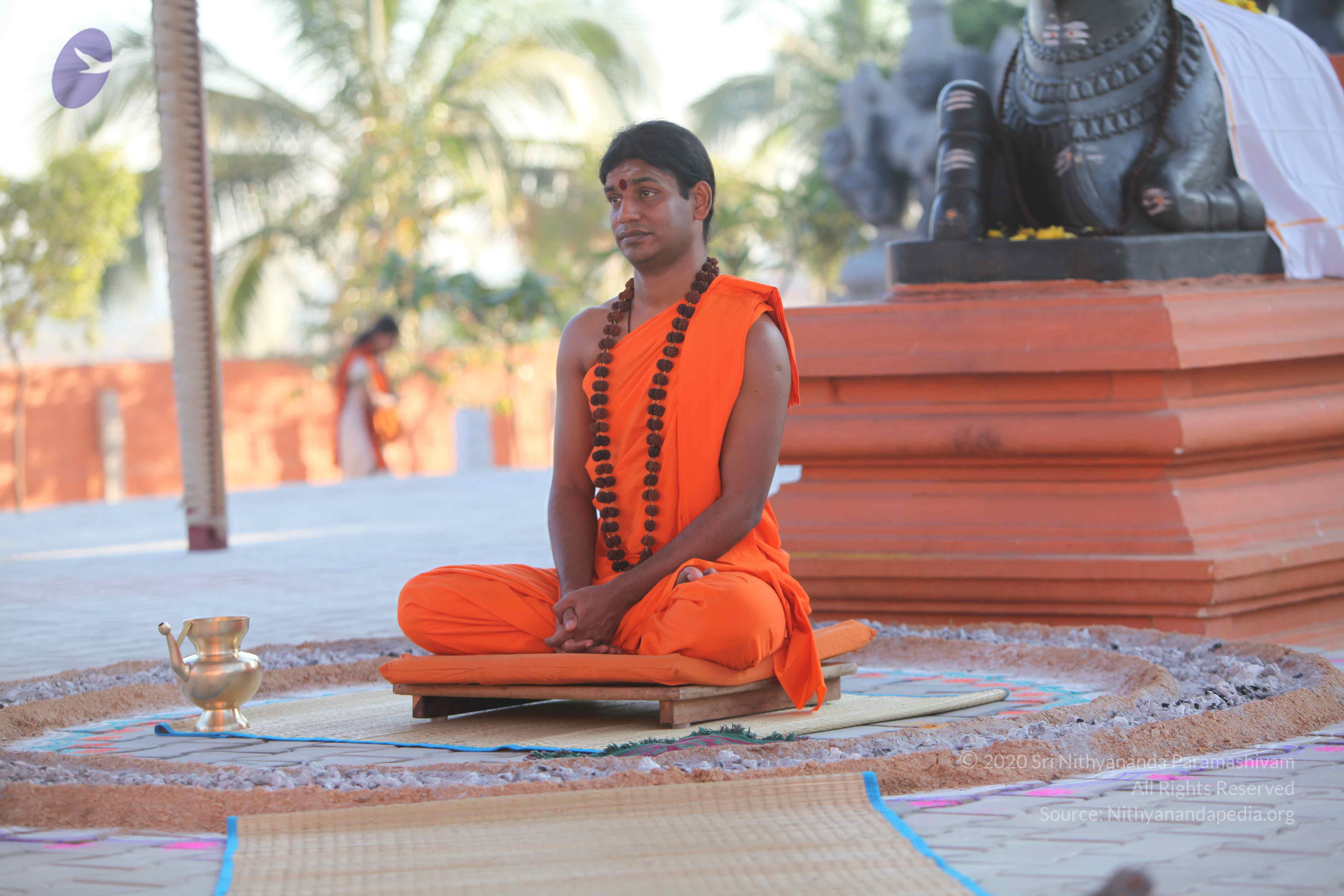 20110201_Photo_1120_IMG_2511_CMP_WM