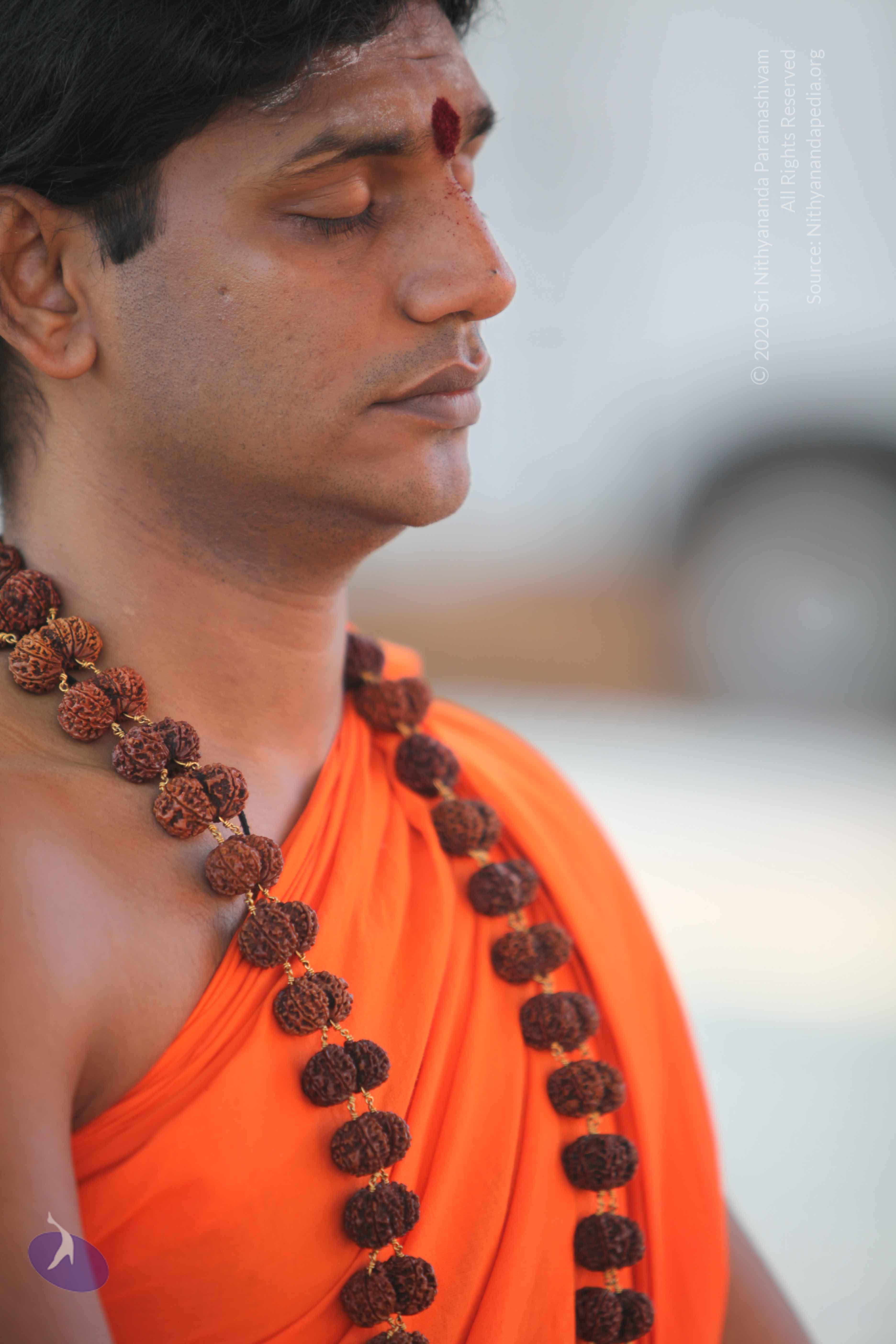 20110201_Photo_1122_IMG_2384_CMP_WM