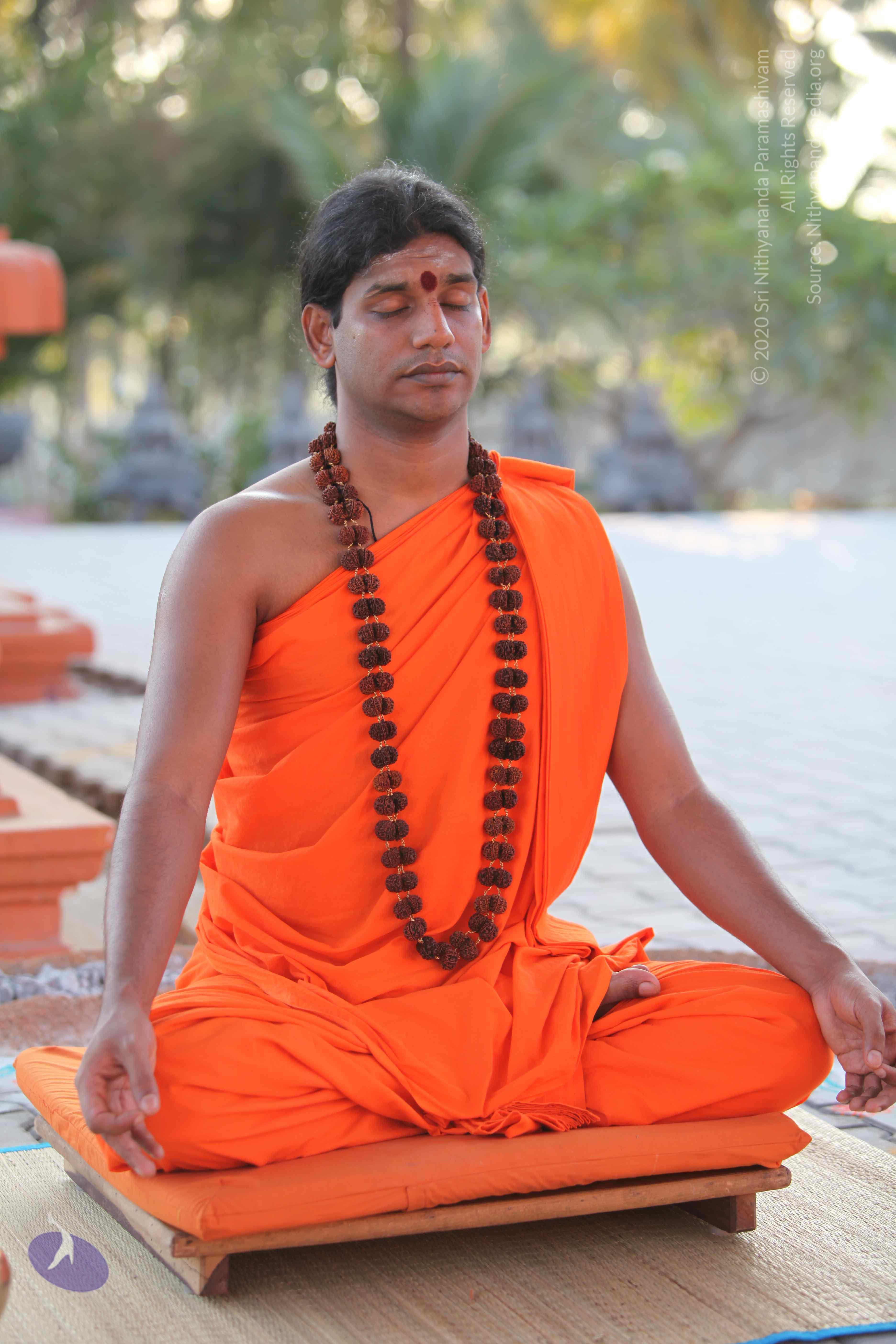 20110201_Photo_1125_IMG_2408_CMP_WM