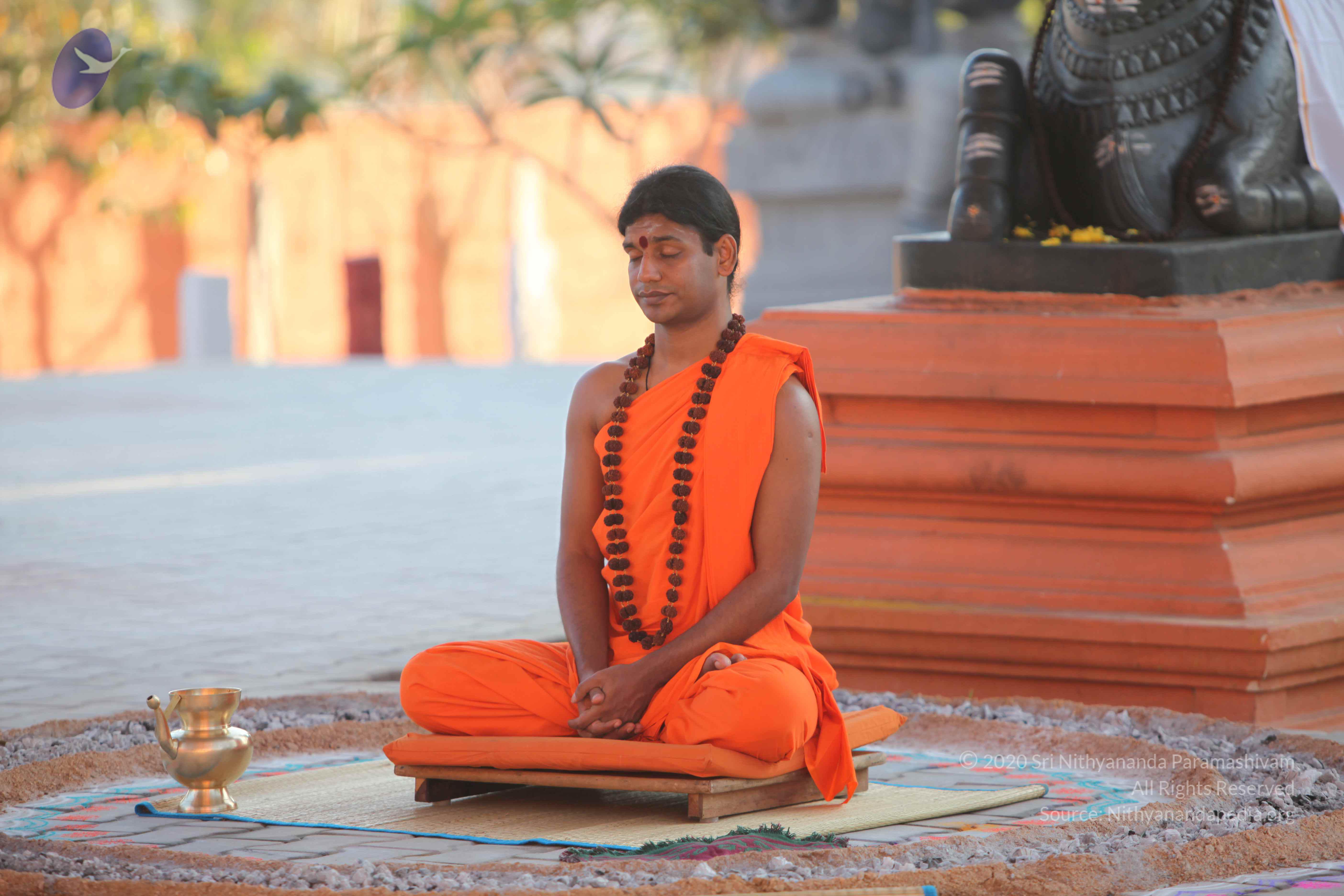 20110201_Photo_1129_IMG_2537_CMP_WM