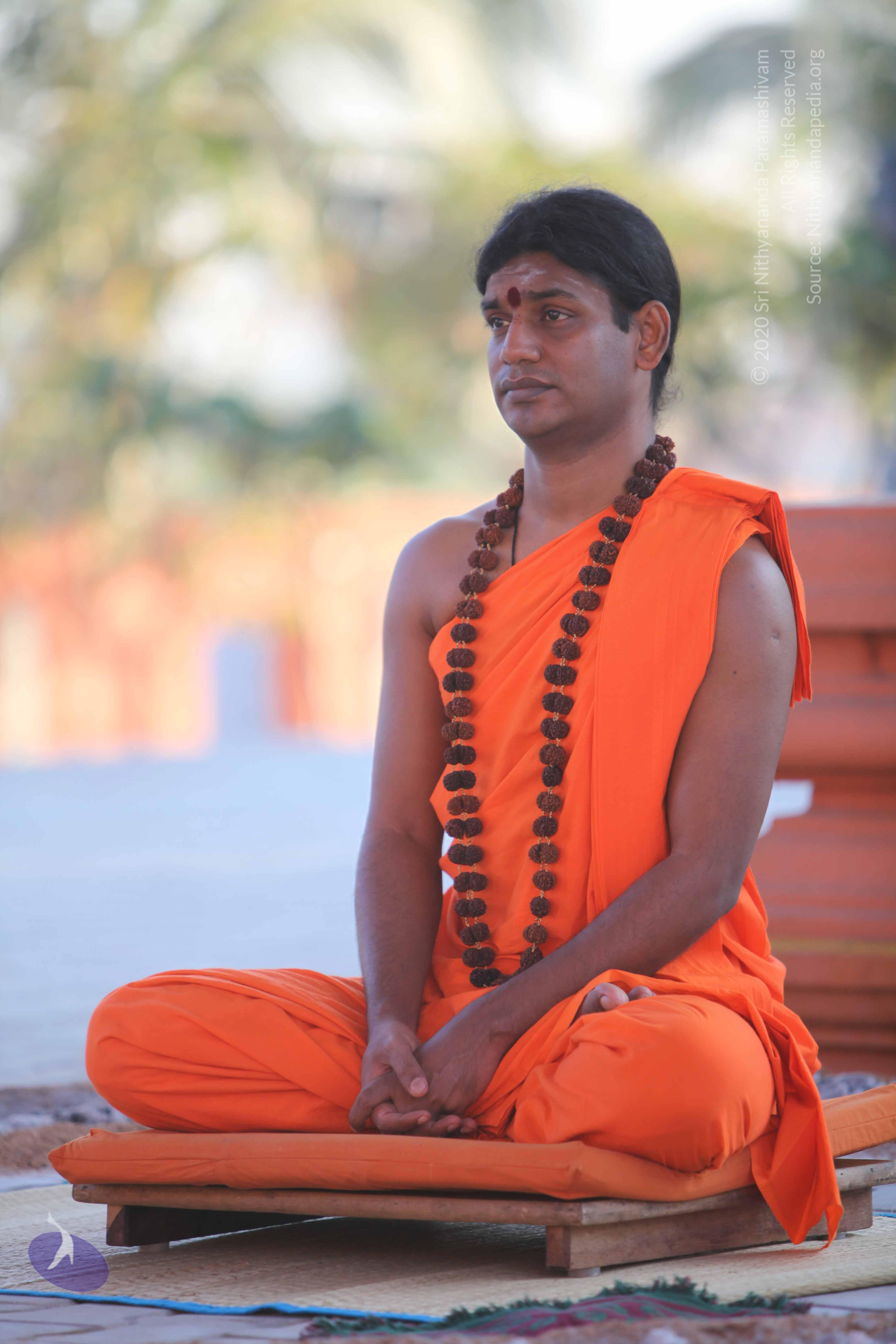 20110201_Photo_1130_IMG_2500_CMP_WM